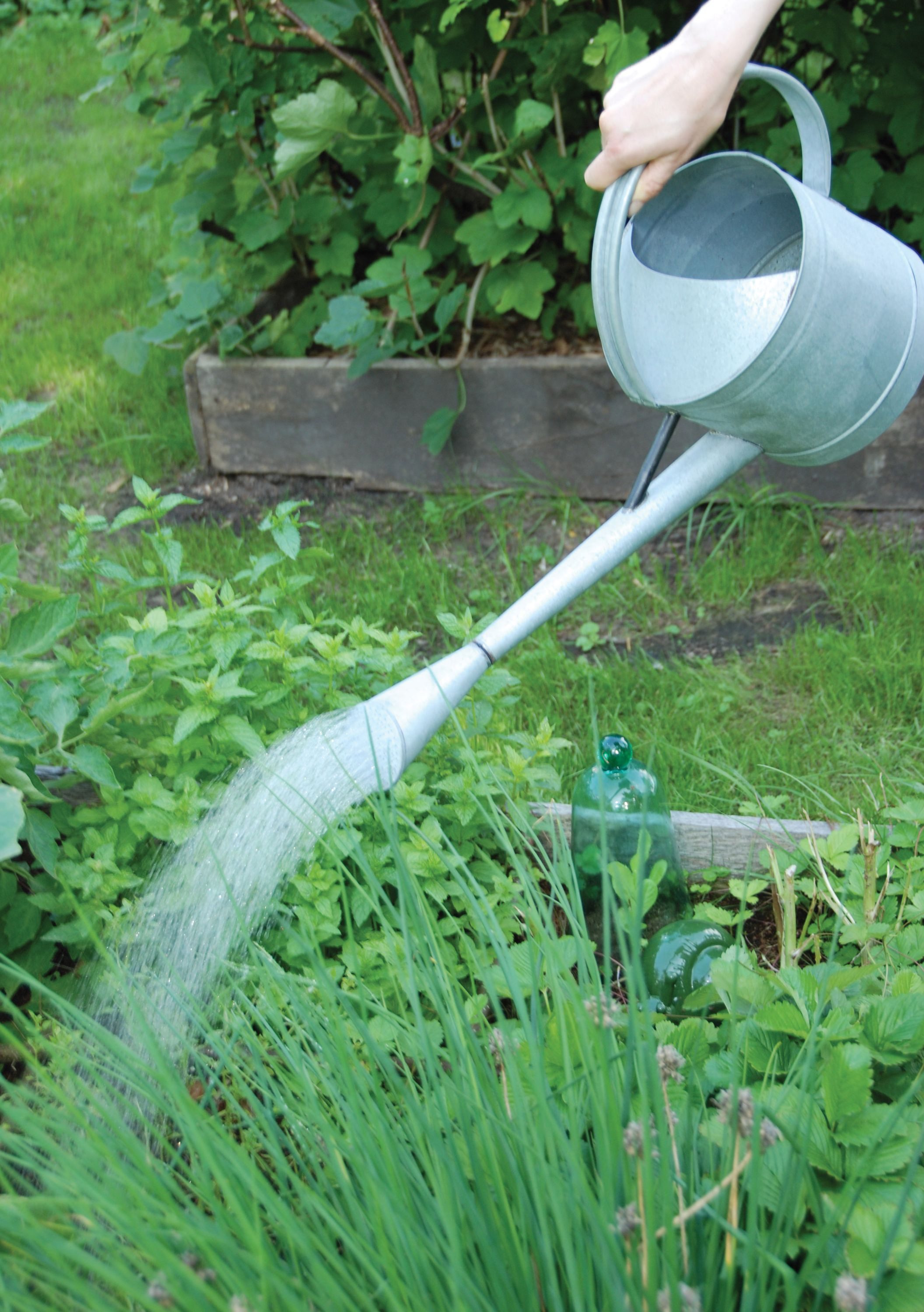 esschert design Gießkanne Gießkanne Zink 4,5 L. Landhaus, mit Brausekopf & ergonomischem Griff
