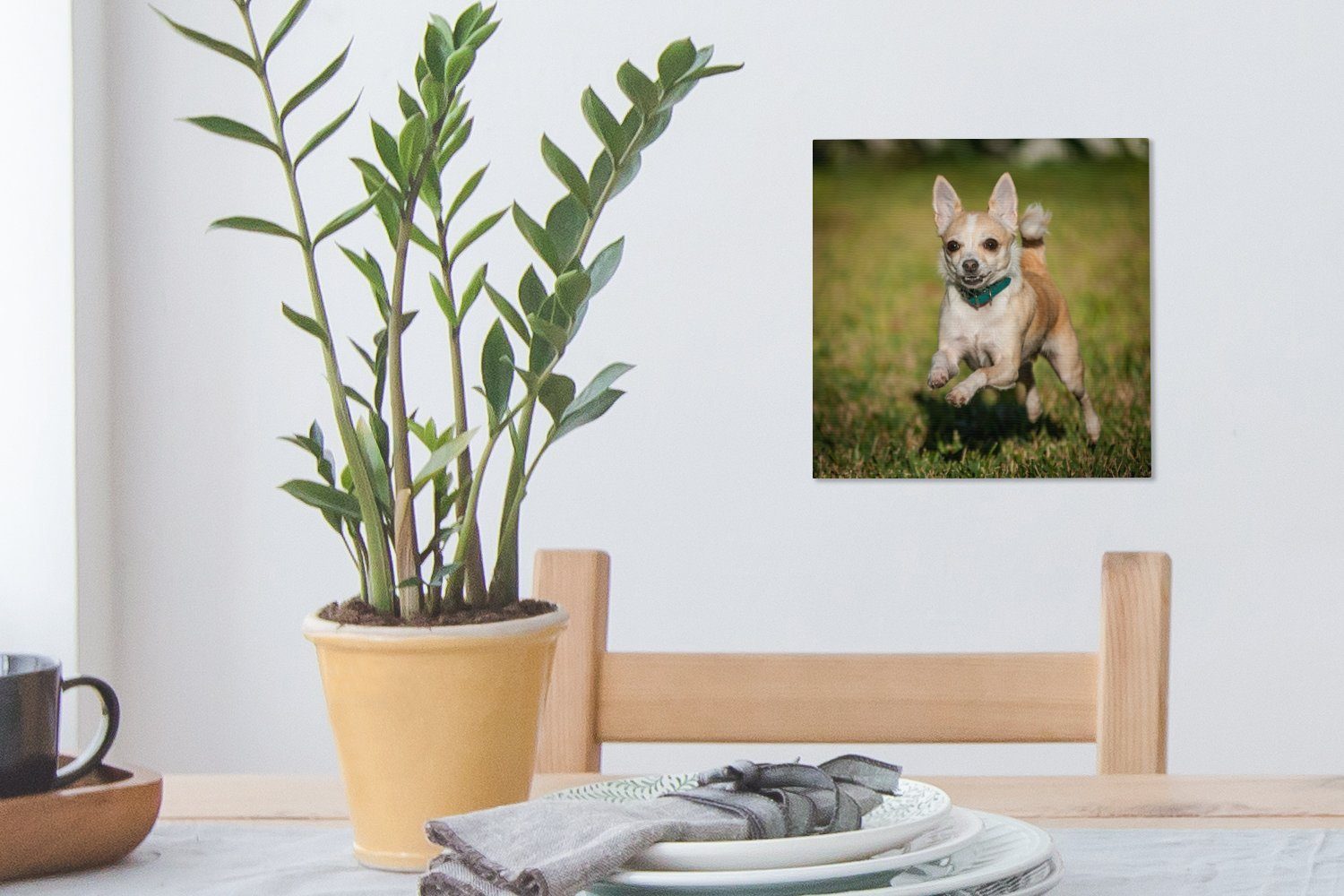 OneMillionCanvasses® Leinwandbild Ein St), das durch hüpft lächelnder Schlafzimmer für (1 Bilder Chihuahua Gras, Leinwand Wohnzimmer