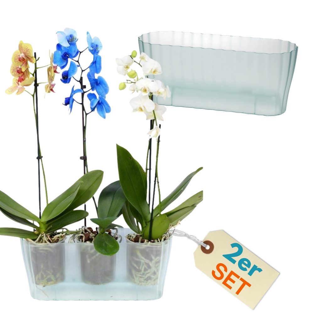 GarPet Blumentopf 2er Set Orchideentopf Transparent Orchideen Über Pflanz groß Elegant