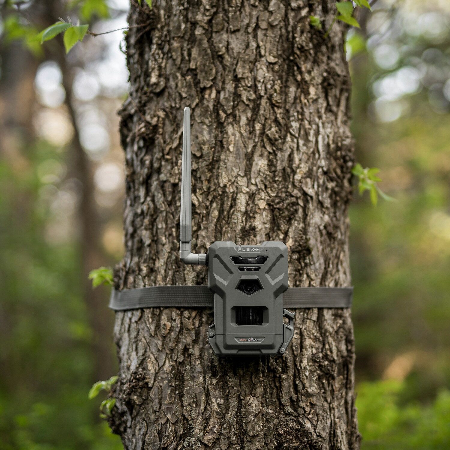 Spypoint Wildkamera Wildkamera Flex-M – 4er-Pack