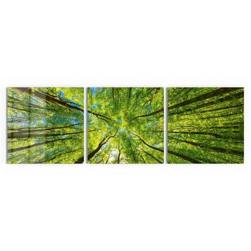 DEQORI Glasbild 'Blick durch Baumkronen', 'Blick durch Baumkronen', Glas Wandbild Bild schwebend modern