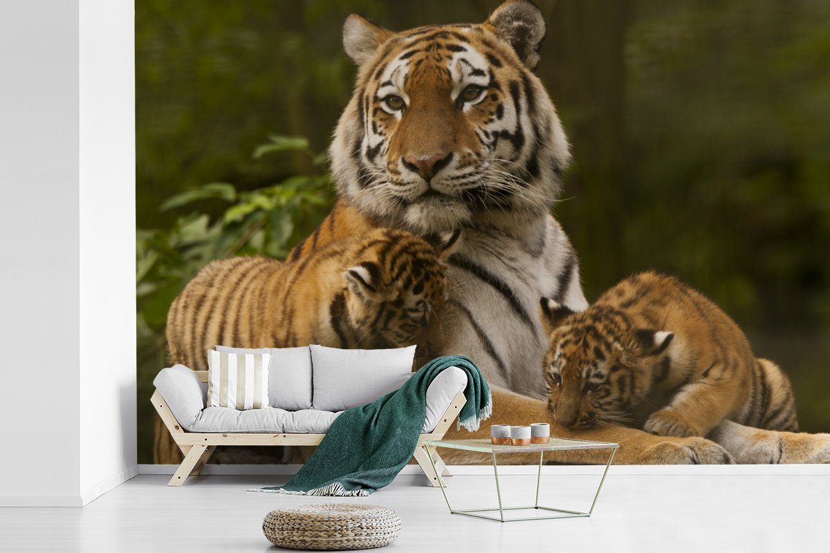 Natur, bedruckt, St), Schlafzimmer, für Matt, (6 Tiger - - Vinyl Jungtiere Tapete Wallpaper MuchoWow Kinderzimmer, Fototapete Wohnzimmer,