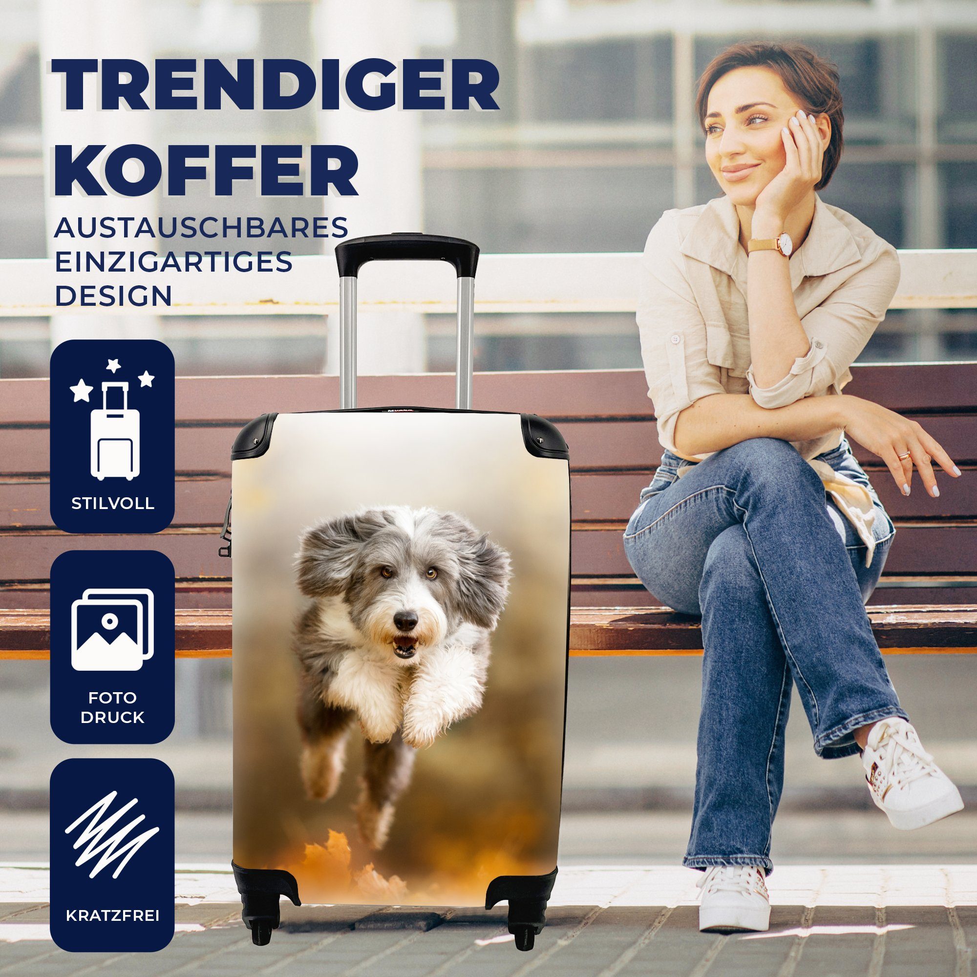mit 4 Trolley, - Handgepäckkoffer Reisetasche rollen, MuchoWow Herbst, Hund für Ferien, Reisekoffer - Laub Handgepäck Rollen,
