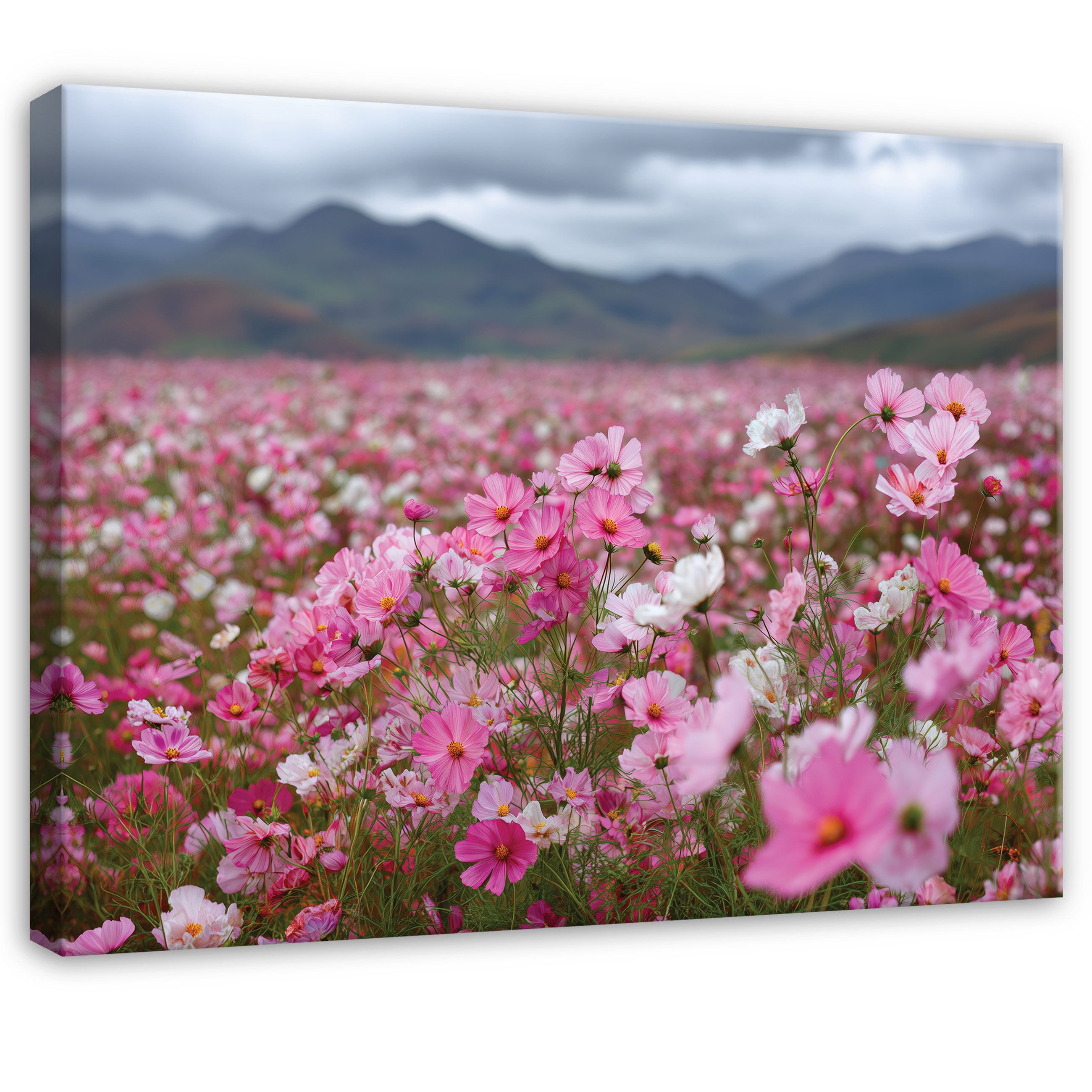 Wallarena Leinwandbild Blumen Feldblumen - Rosa - Elegant - Wohnzimmer, Blumen, 40x30x2cm