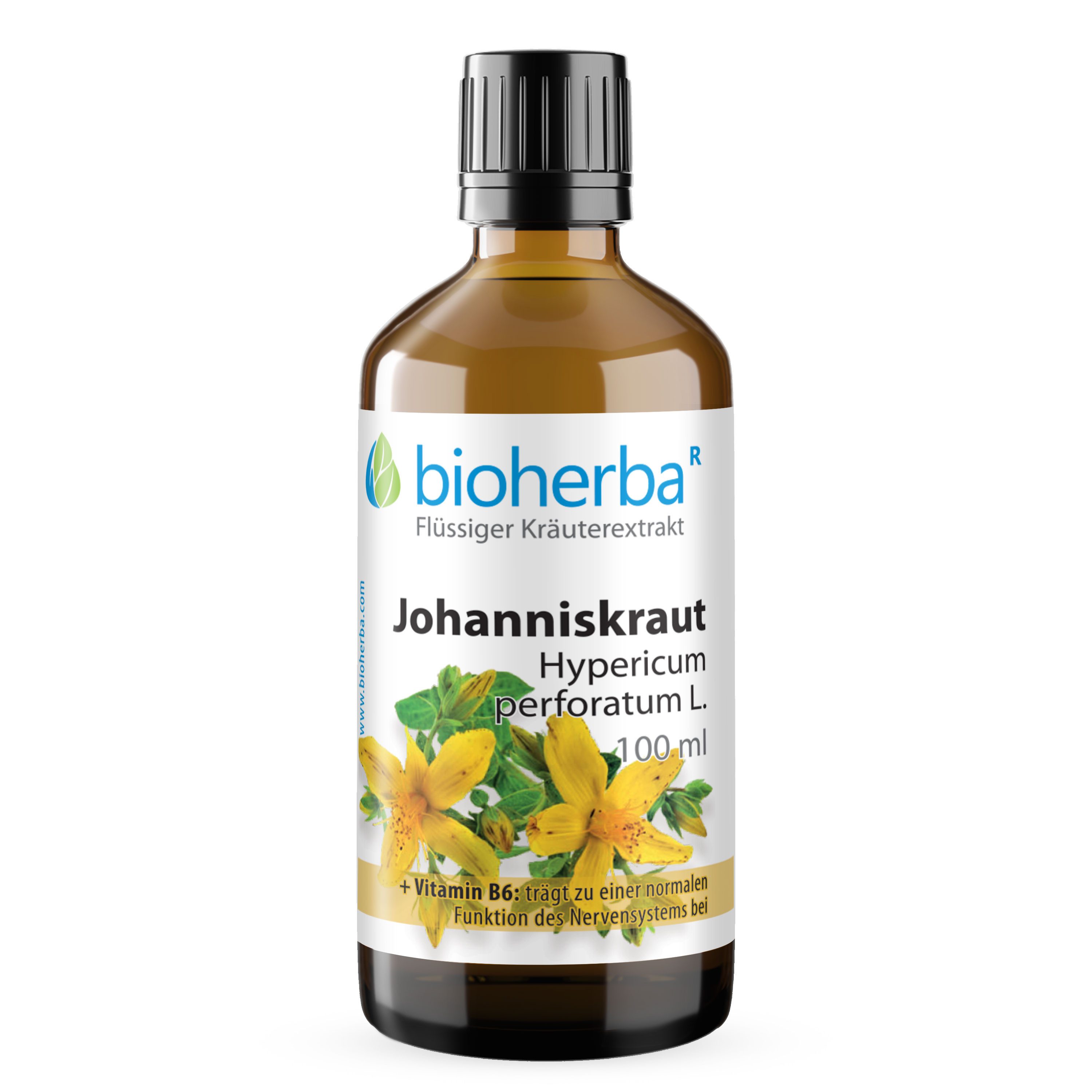BIOHERBA R Bioherba Johanniskraut Tropfen Tinktur 100 ml Tropfen, 1 er