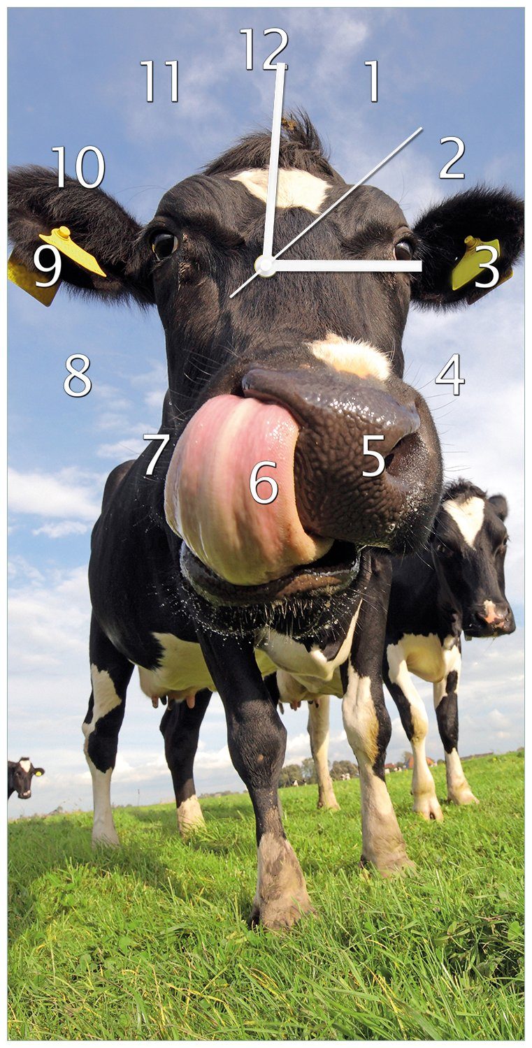 Wallario Wanduhr Lustige Kuh auf der Weide mit herausgestreckter Zunge (Uhr  aus Acryl)