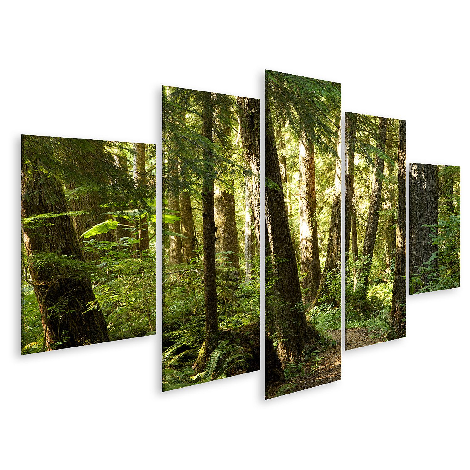 islandburner Leinwandbild Bäume Wald Bilder