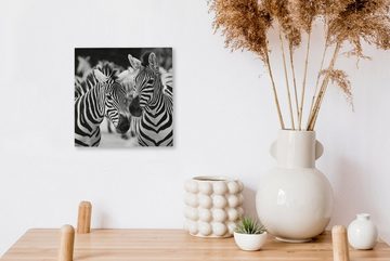 OneMillionCanvasses® Leinwandbild Zebra schwarz und weiß, (1 St), Leinwand Bilder für Wohnzimmer Schlafzimmer