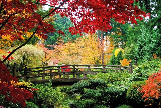 Papermoon Fototapete »Bridge in Japanese Garden«, glatt-Otto