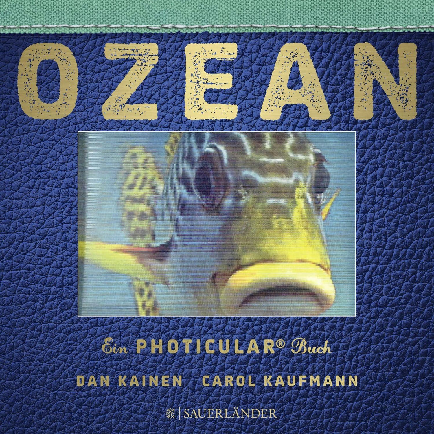 Ozean / Dan Kainen, Carol Kaufmann