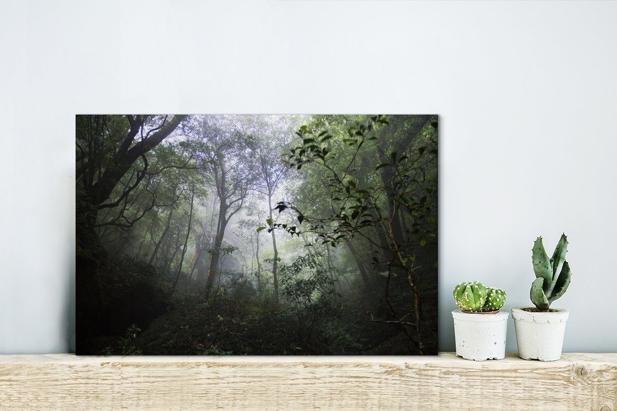 Motchomudake Wanddeko, (1 am auf in St), 30x20 Leinwandbilder, cm OneMillionCanvasses® Wandbild Japan, Aufhängefertig, Leinwandbild Wald Yakushima