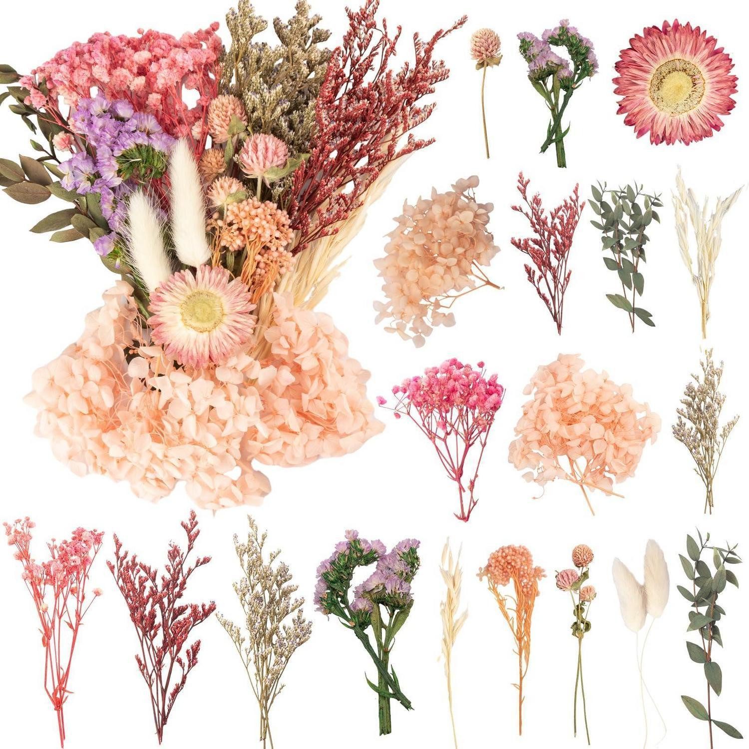 Trockenblume Trockenblumen DIY Bastelset Gemischt Natur, LuxusKollektion, Höhe 1 cm