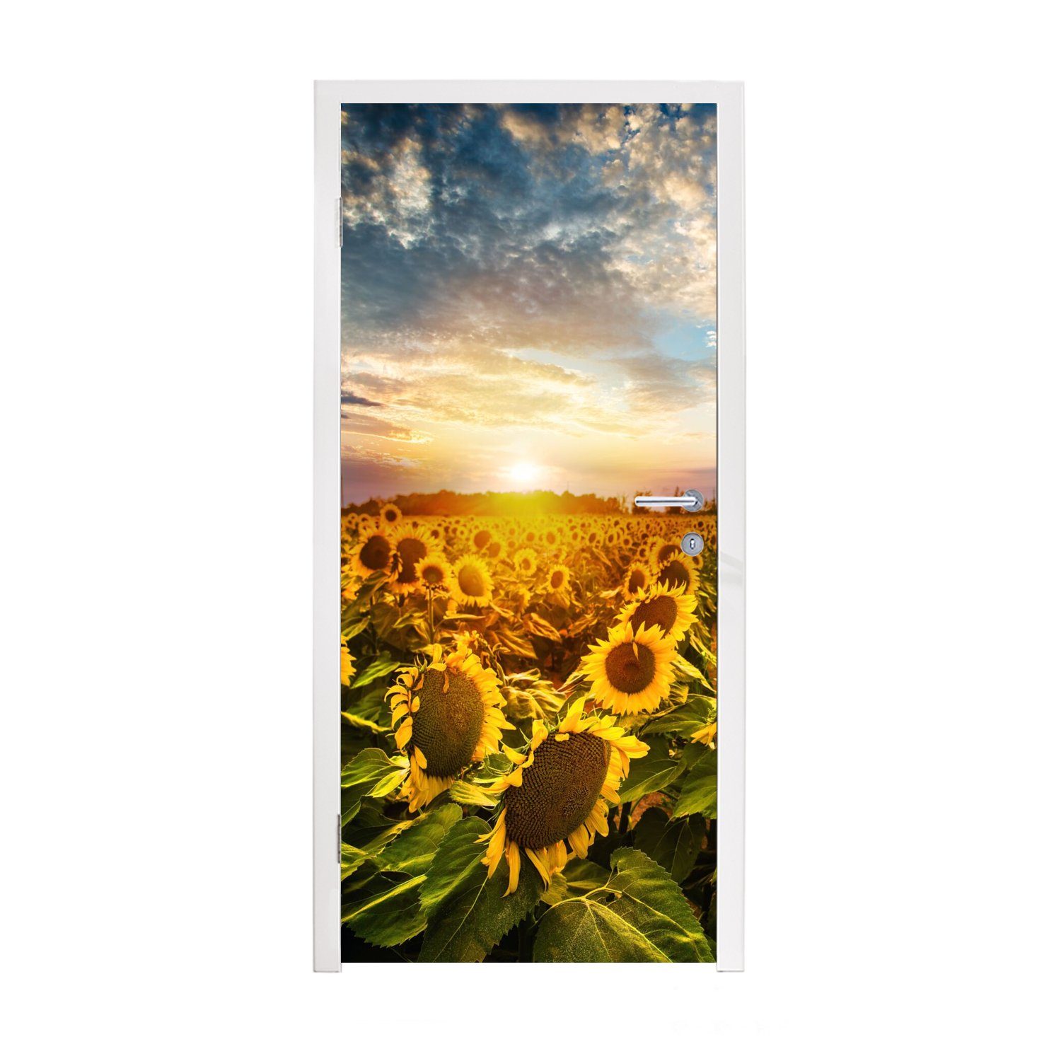 MuchoWow Türtapete Blumen - Sonnenblume - Himmel, Matt, bedruckt, (1 St), Fototapete für Tür, Türaufkleber, 75x205 cm
