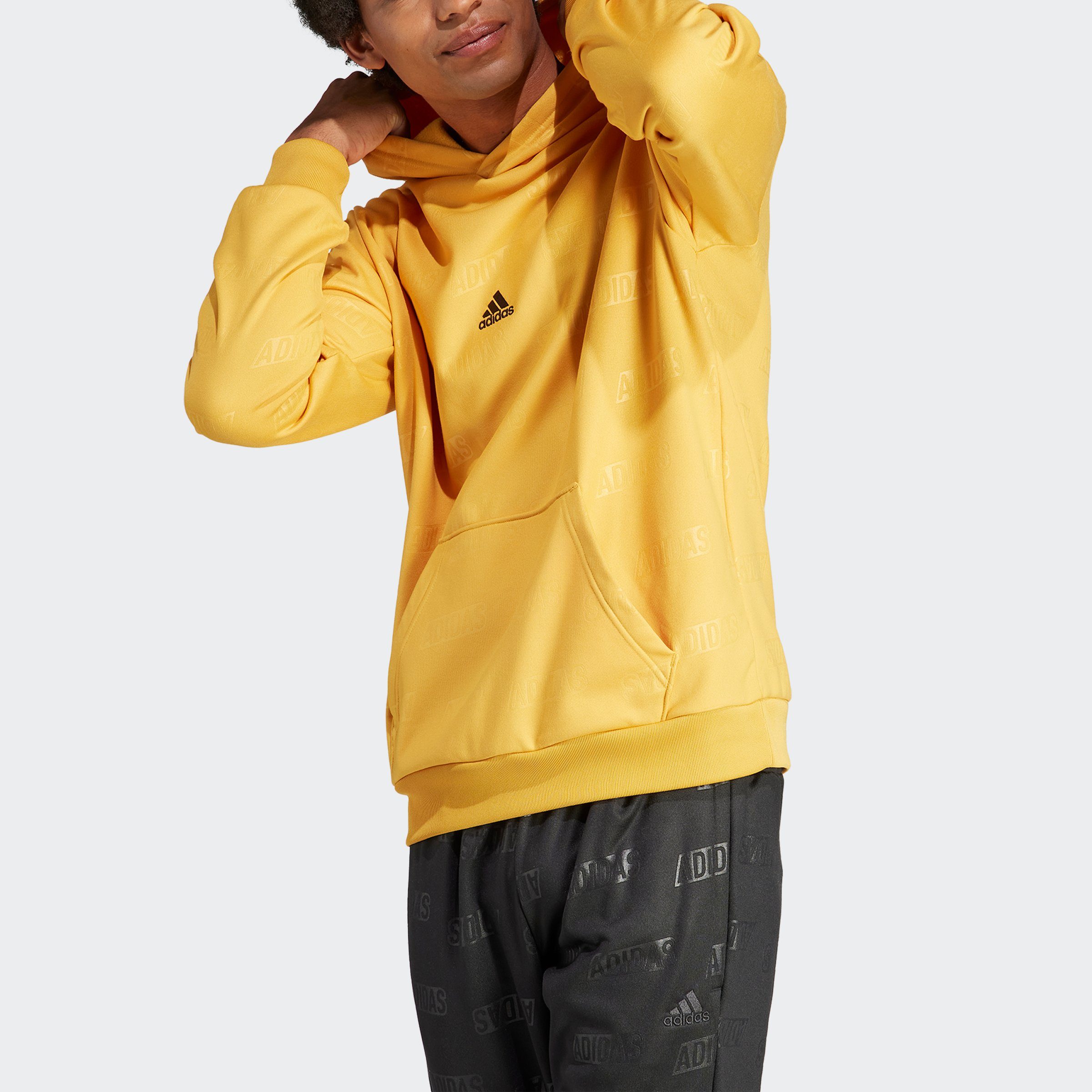 adidas Sportswear Sweatshirt BL HD Q4 PREYEL