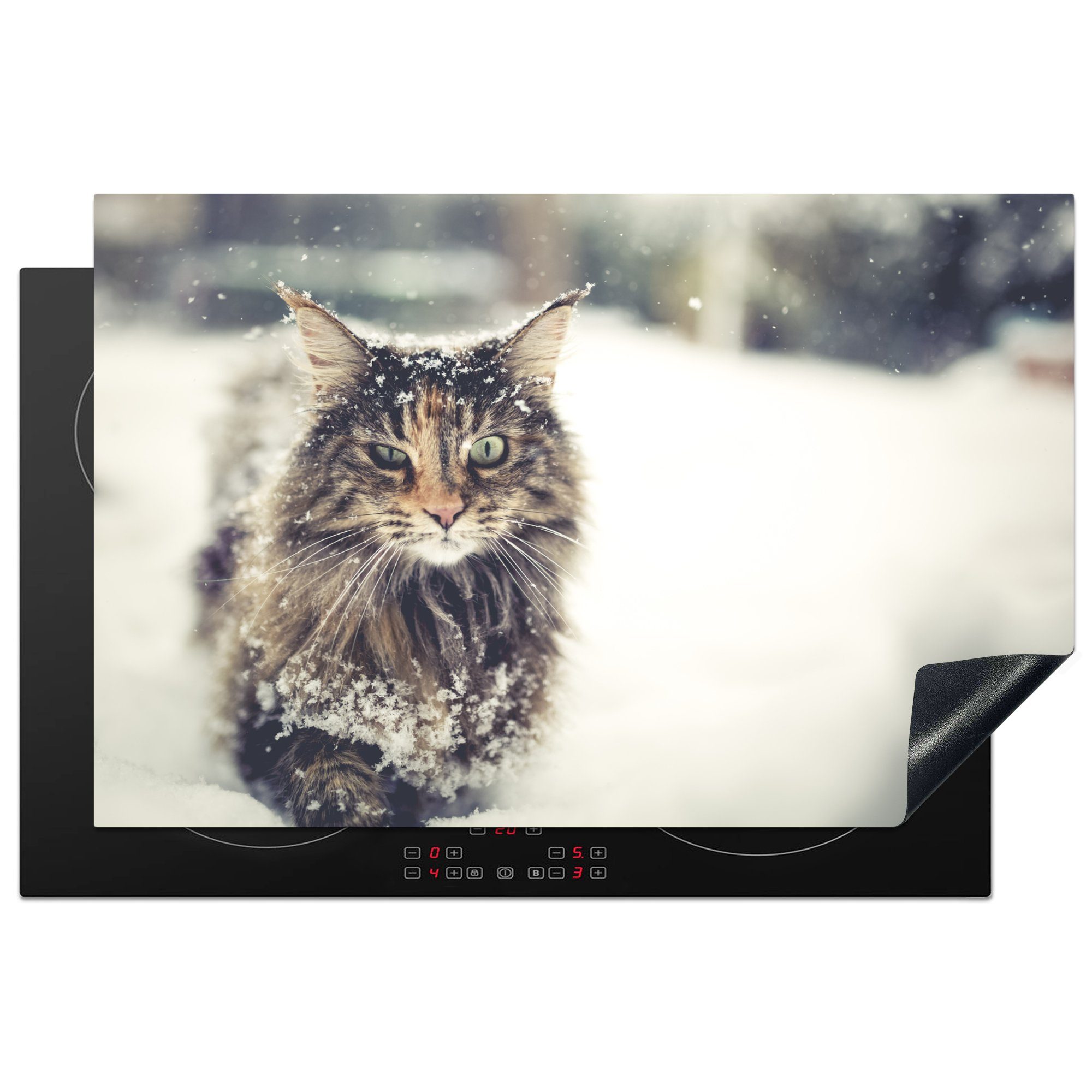 MuchoWow Herdblende-/Abdeckplatte Katze - Schnee - Tiere, Vinyl, (1 tlg), 81x52 cm, Induktionskochfeld Schutz für die küche, Ceranfeldabdeckung
