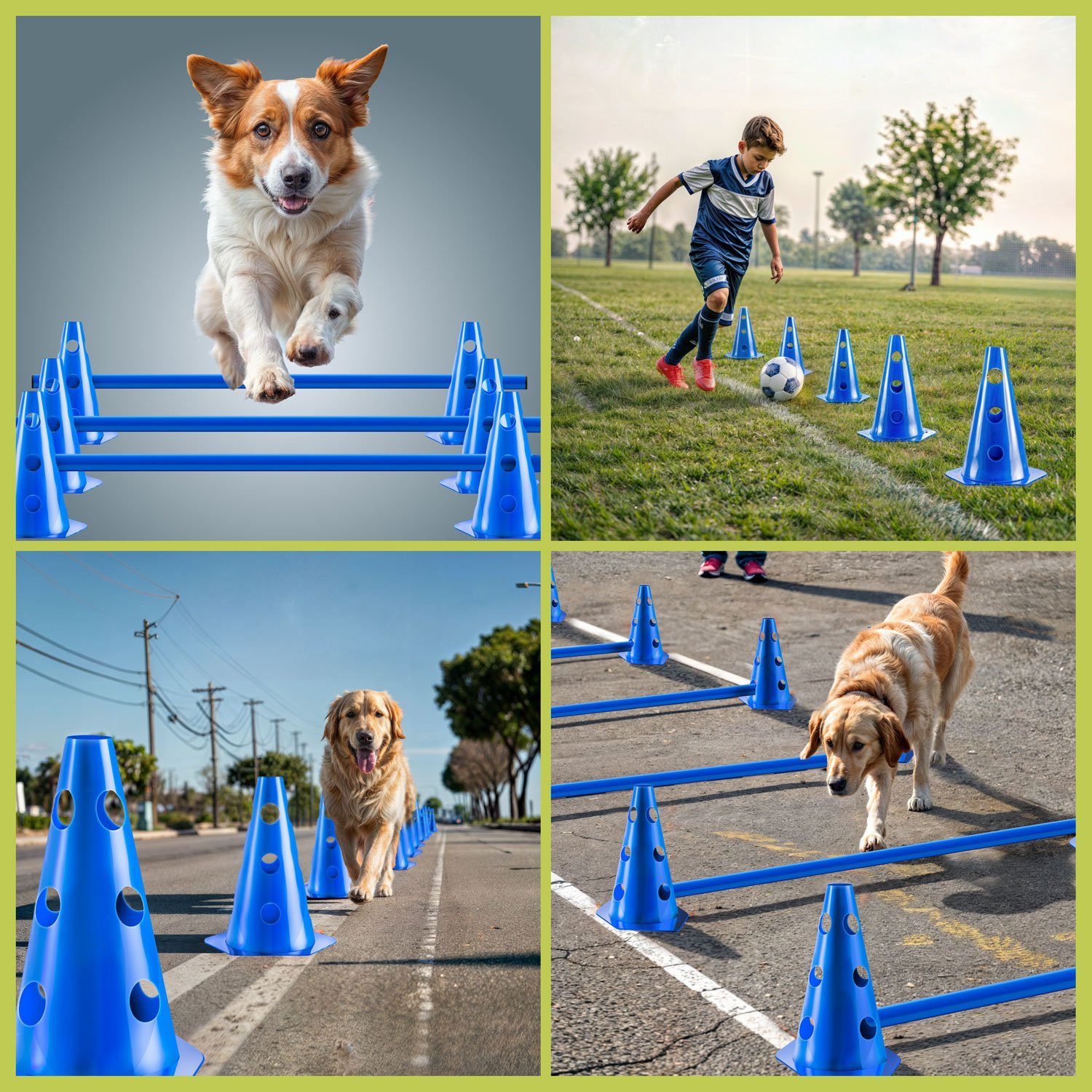 all Pets United Trainingshilfe All Pets United Trainingsset Hund & Kinder, Hunde Sport & Lernhilfe