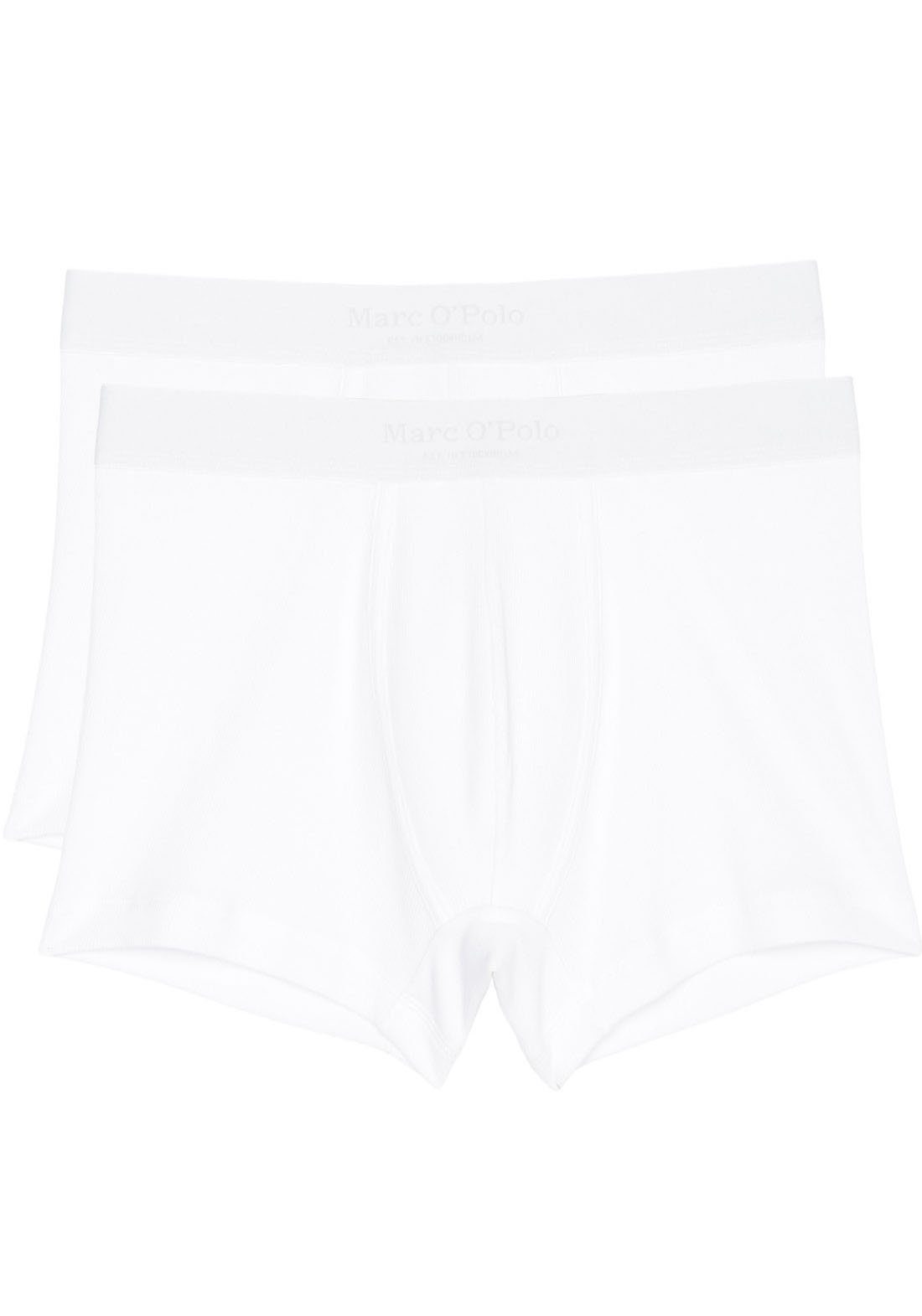 Trunk Iconic Rib