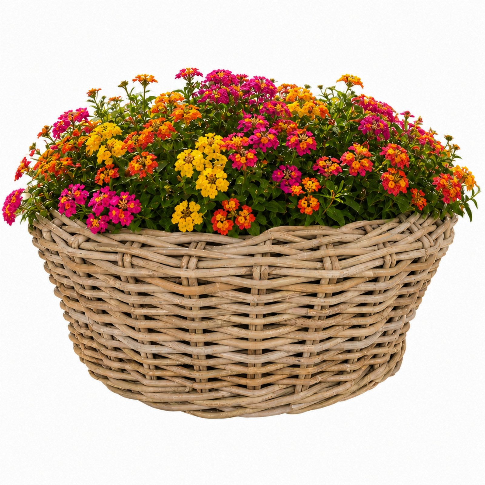 Van der Leeden Blumentopf 56x23cm Rattan Sylter Korb Drypot 31L (Stück, 1 St., Packung), Indoor & Outdoor, Rattan, 31 L, Naturprodukt, incl. Kunststoffeimer