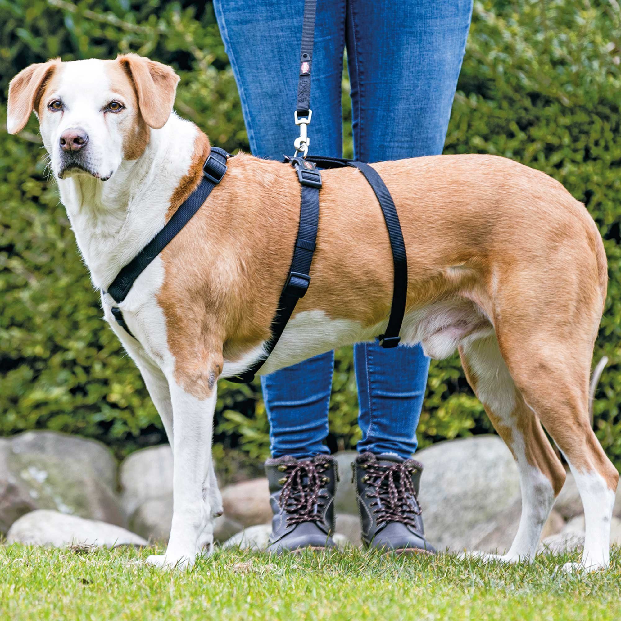 TRIXIE Hunde-Sicherheitsgeschirr Panikgeschirr für Hunde, Nylon, günstig online kaufen