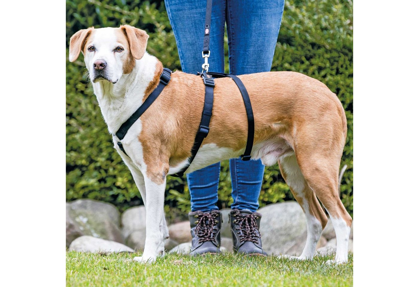 Thumbnail - TRIXIE Hunde-Sicherheitsgeschirr Panikgeschirr für Hunde, Nylon, verstellbar