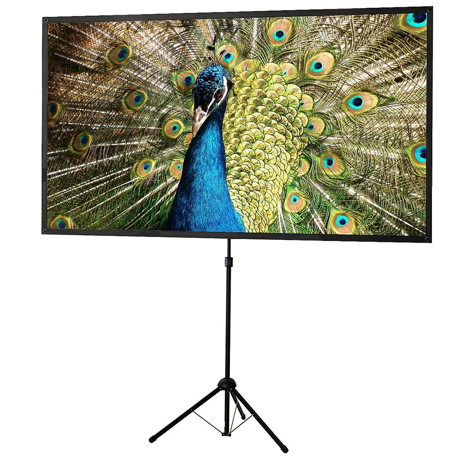 Celexon Ultra-lightweight Stativleinwand (schwarze Rückseite)