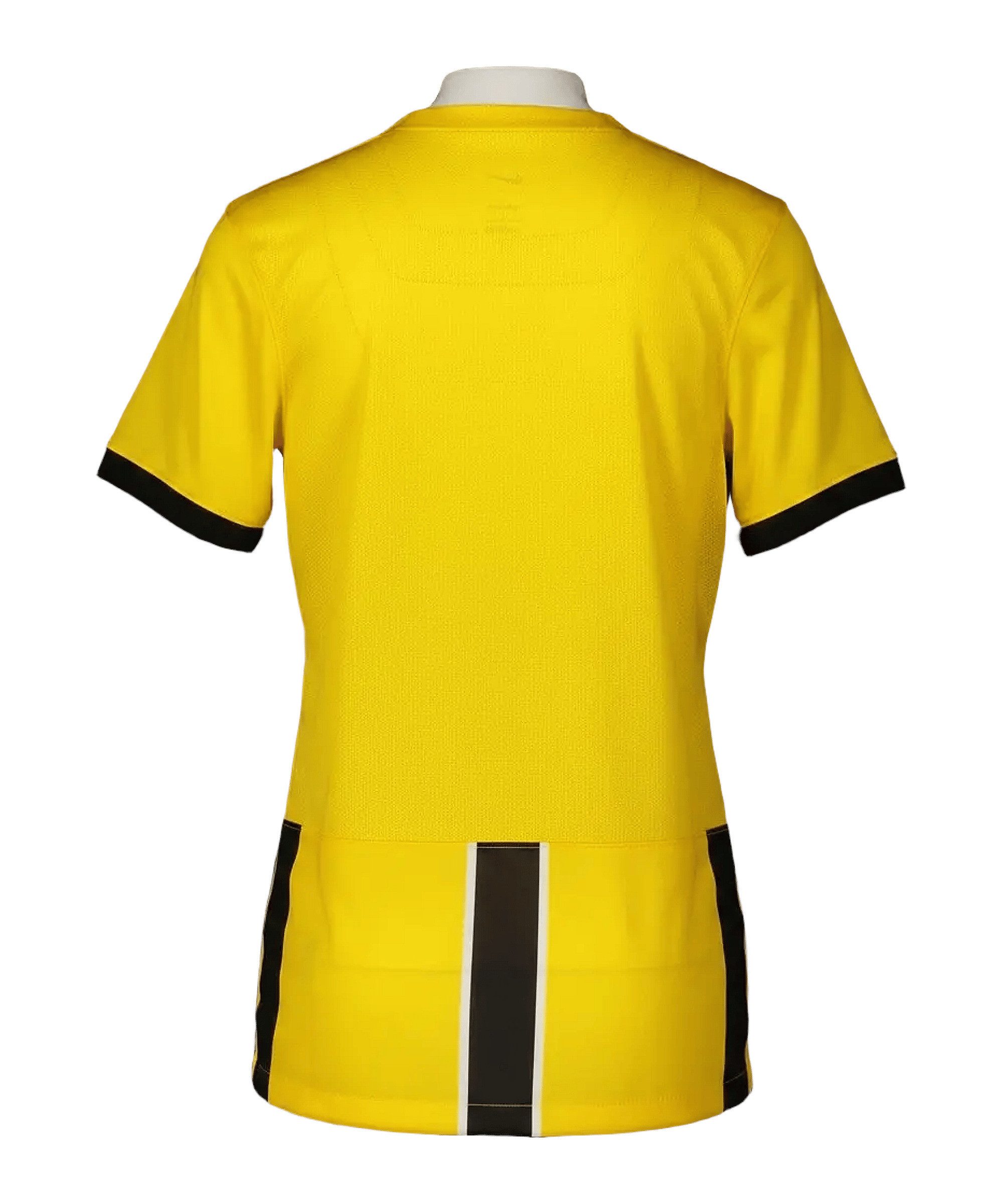 Nike Fußballtrikot Nike Performance Classic GX1 Trikot Damen Teamsport