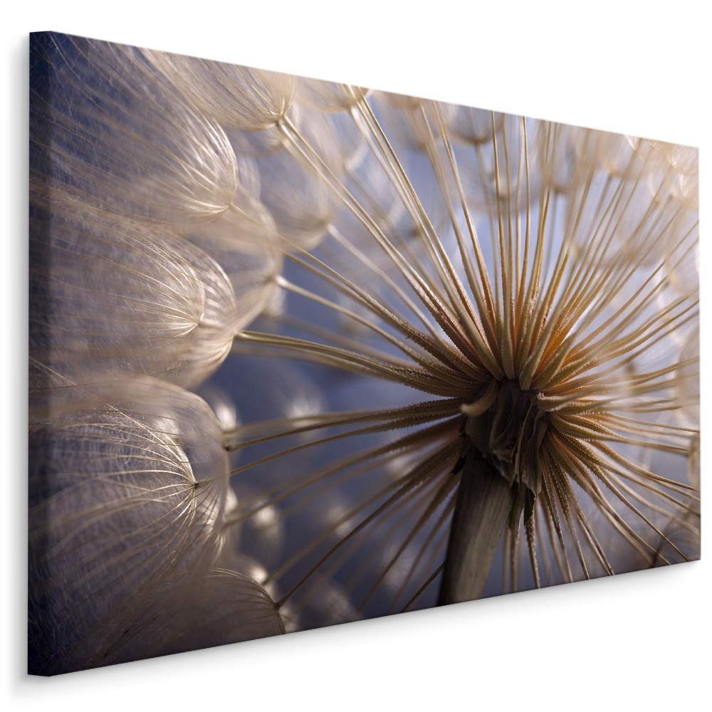 Muralo Leinwandbild Landschaft – Leinwandbild Wandbild Kunstdruck Wohnzimmer, Gewässer (1 St), Blumen – Pusteblumen – Löwenzahn, 90 x 60 cm, aufhängefertig