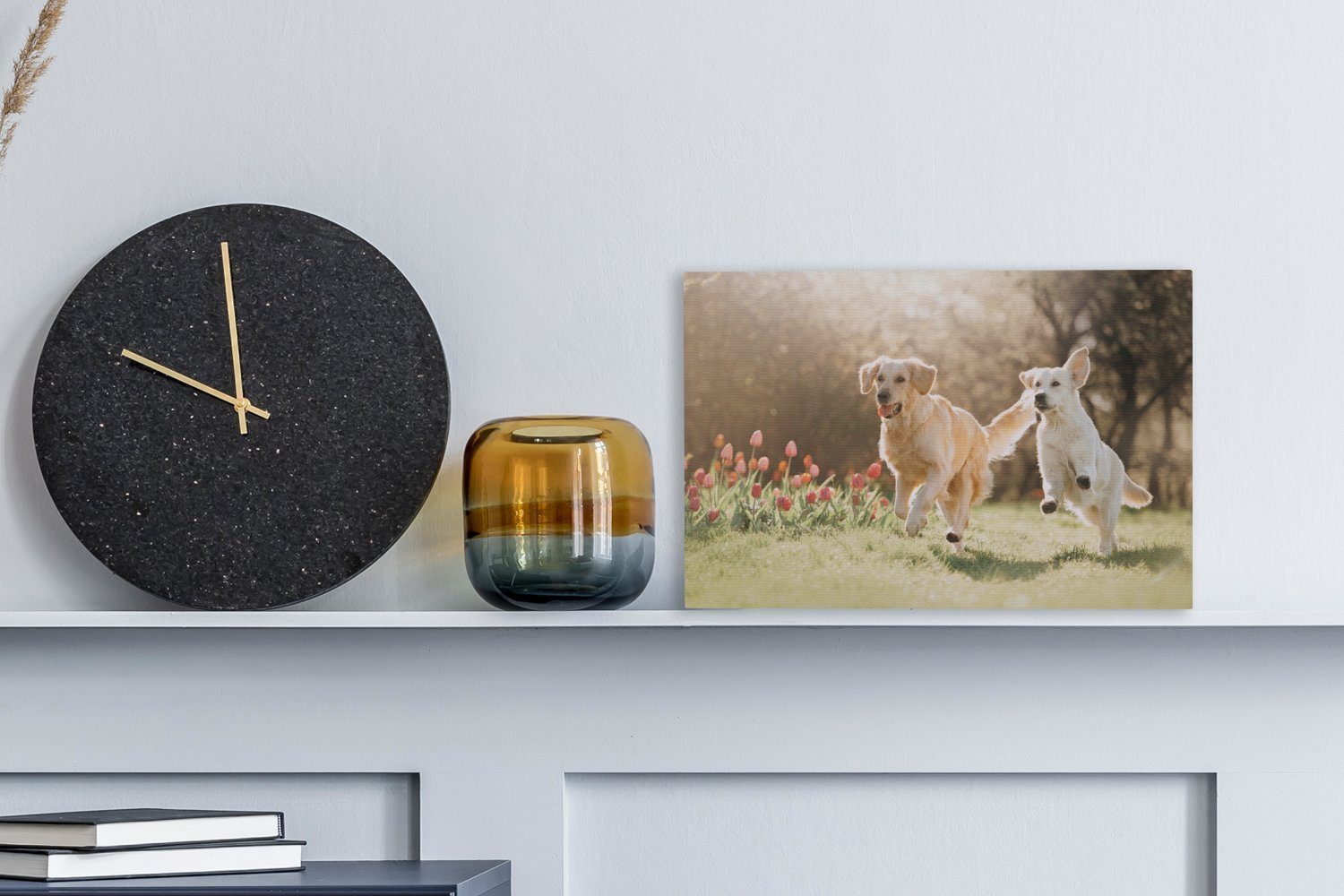 OneMillionCanvasses® Leinwandbild Hunde - Sonne - günstig online kaufen