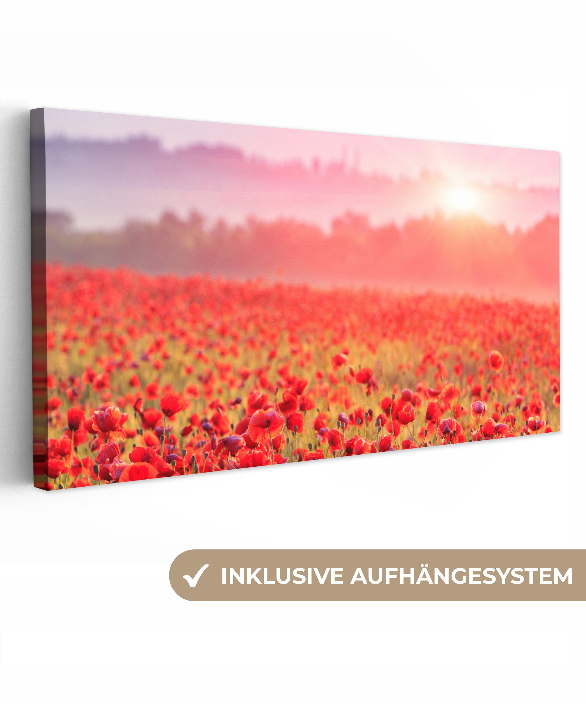 OneMillionCanvasses® Leinwandbild Panorama Blumen - Mohn - Rot - Blumenfeld, Fotodruck (1 St), Wandbild, Deko Schlafzimmer Wohnzimmer Flur 40x20 cm