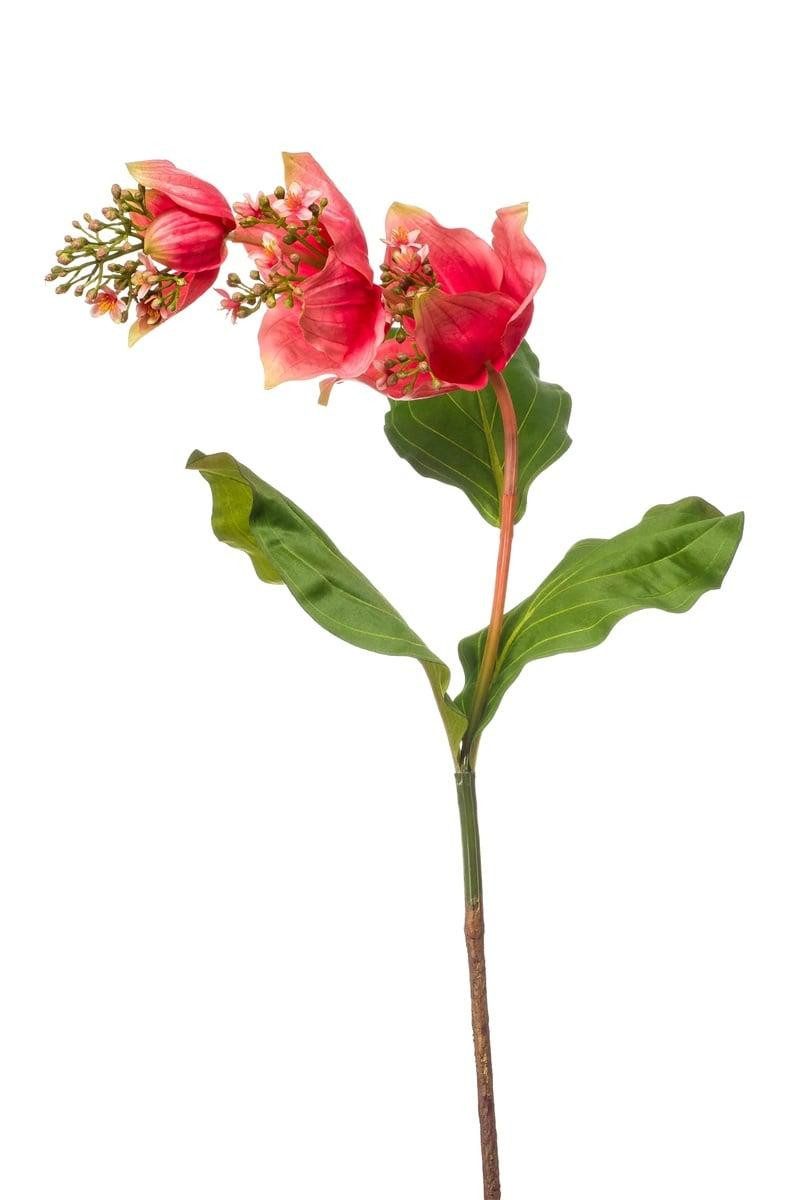 Kunstblume Deko Medinilla NIVARD, Koralle, 110cm Medinilla, artplants, Höhe 110.0 cm