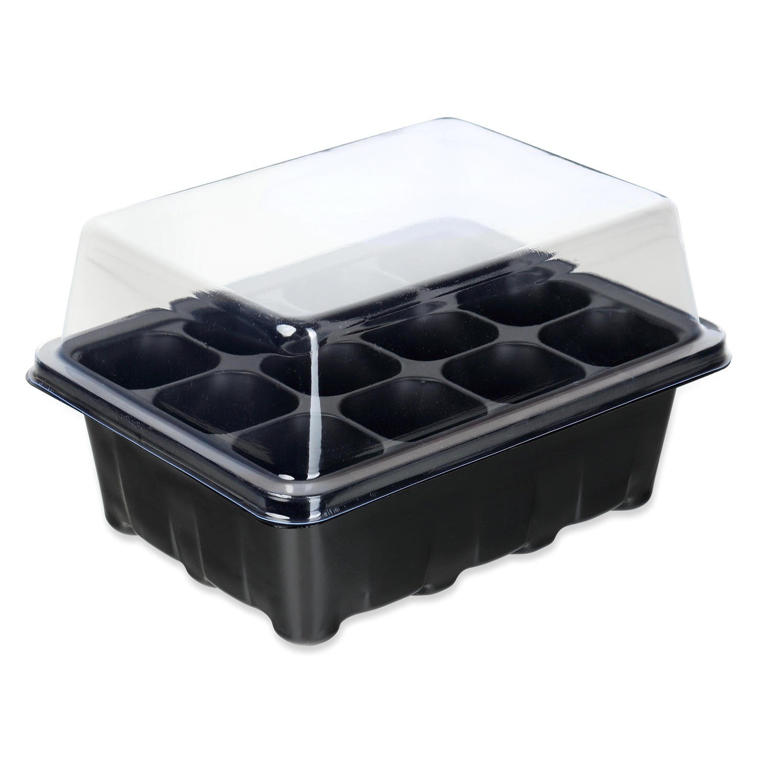 Schramm Frühbeet Schramm® Anzucht Set Gewächshaus günstig online kaufen