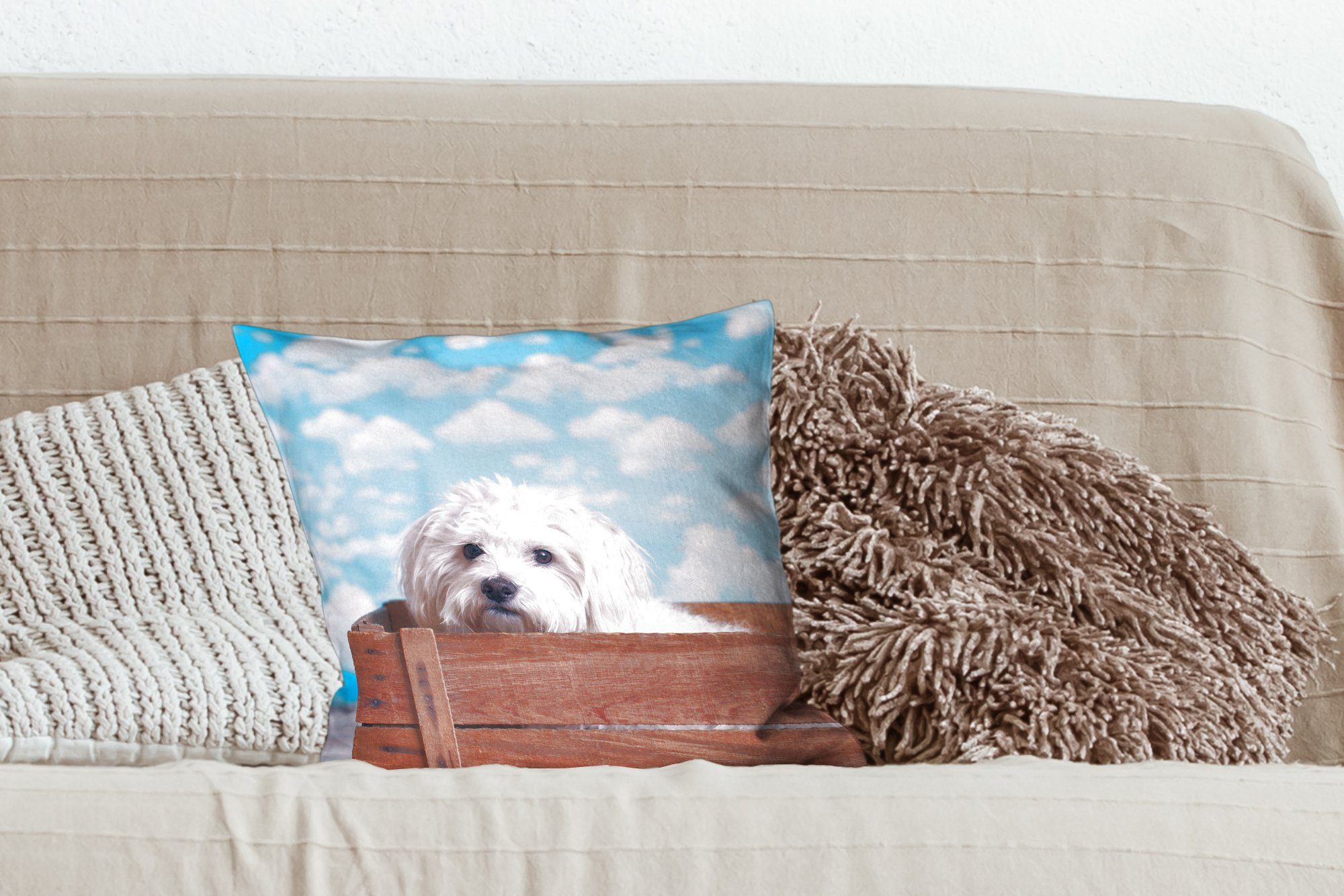 MuchoWow Schlafzimmer, einer für Wohzimmer, Dekokissen Füllung Hund Malteser in Zierkissen Deko, Sofakissen Holzkiste, mit