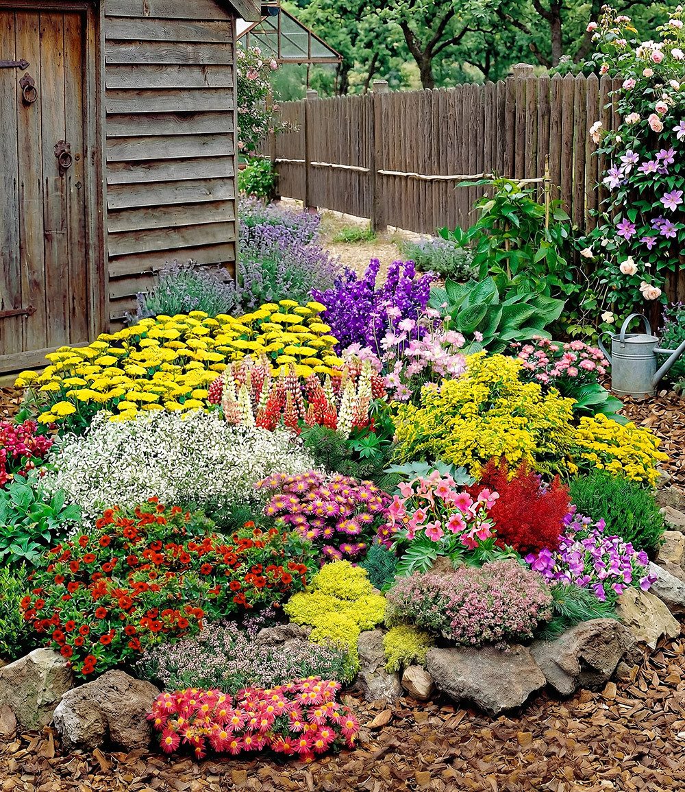 BALDUR Garten Staude 12er Großer Staudengarten, 12 St., winterhart, mehrjährig