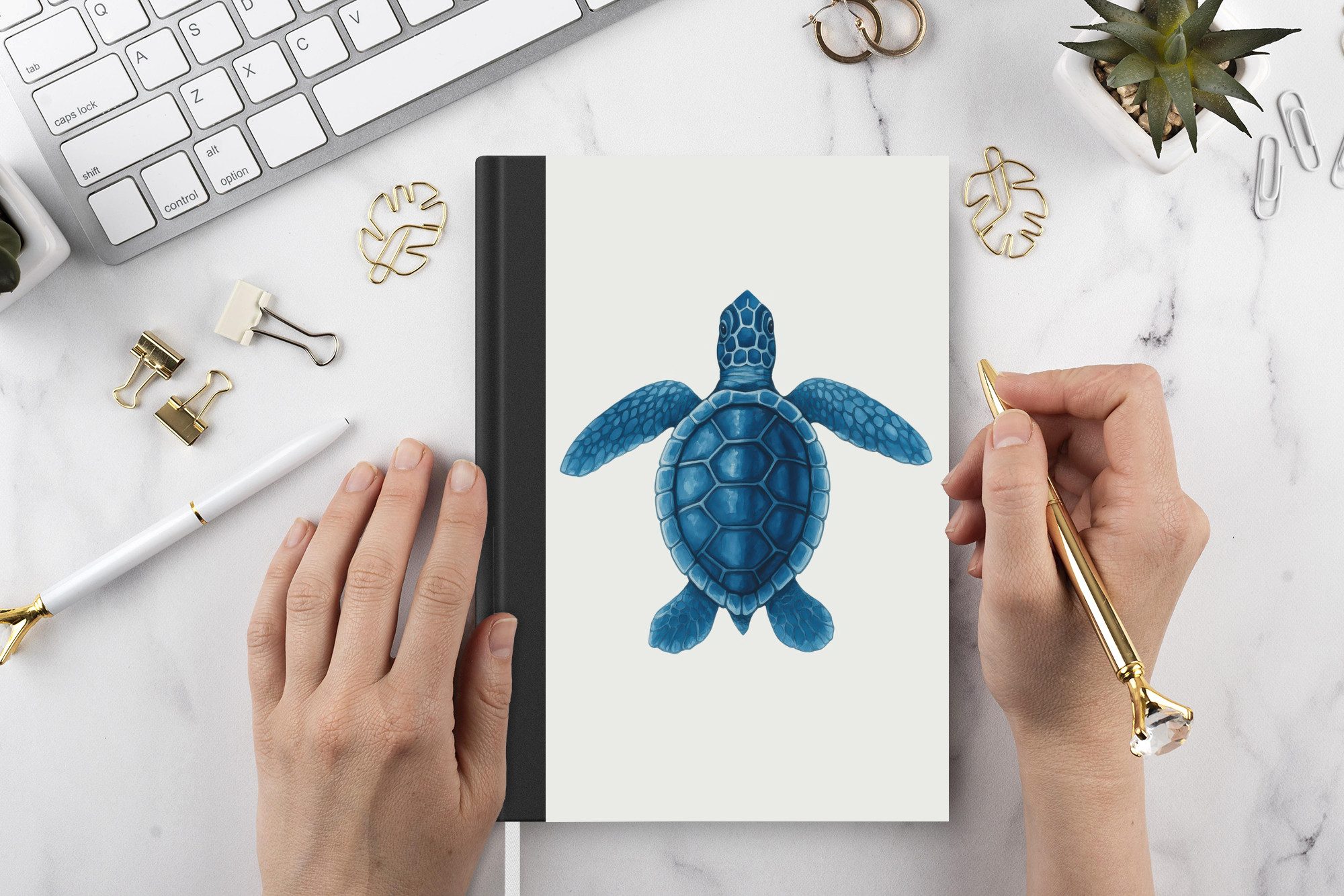 MuchoWow Notizbuch Schildkröte - Blau - Schild, Notebook, Notizblock a5, Tagebuch, Journal Liniert