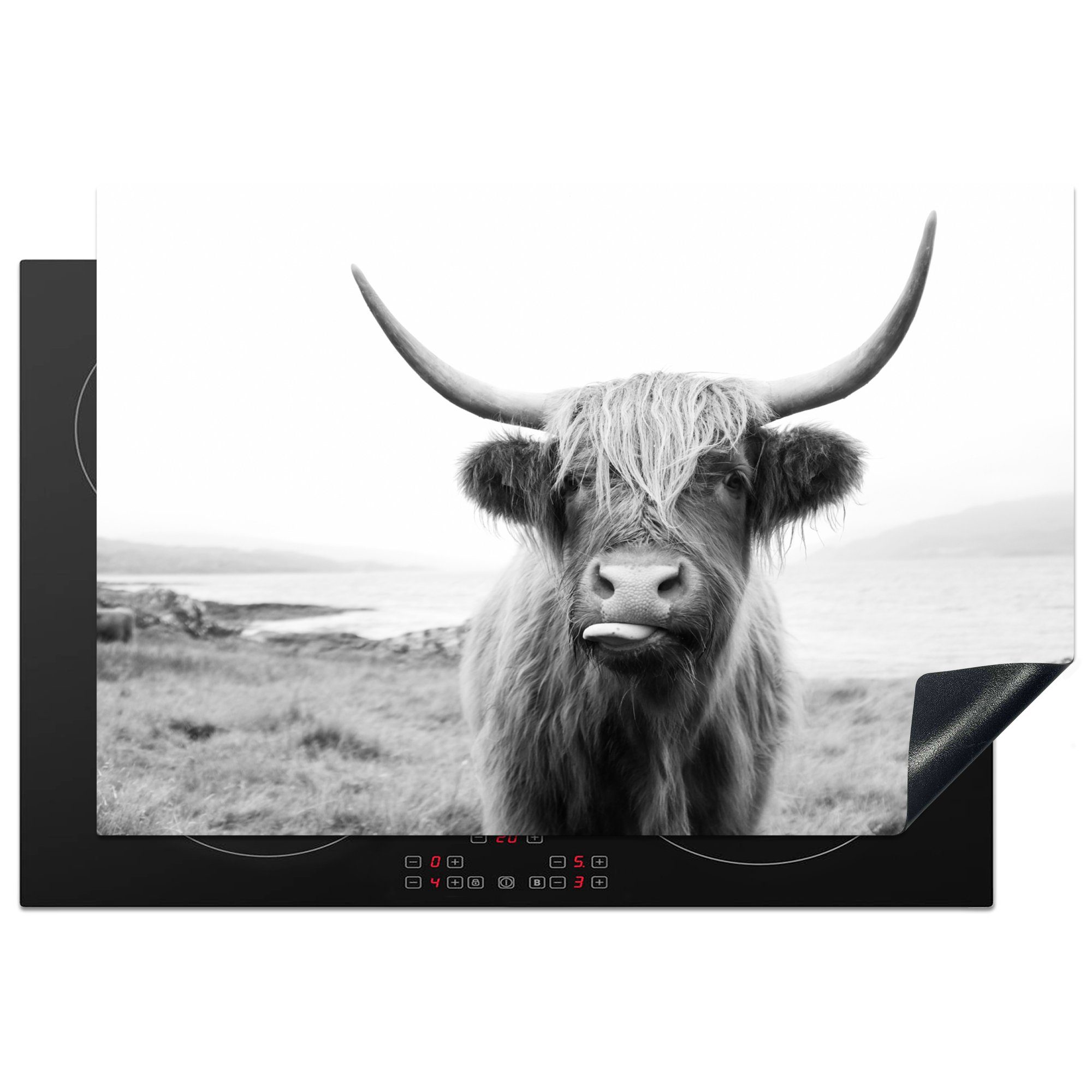 MuchoWow Herdblende-/Abdeckplatte Tiere - Schottischer Highlander - Kuh - Schwarz - Weiß, Vinyl, (1 tlg), 77x51 cm, Ceranfeldabdeckung, Arbeitsplatte für küche