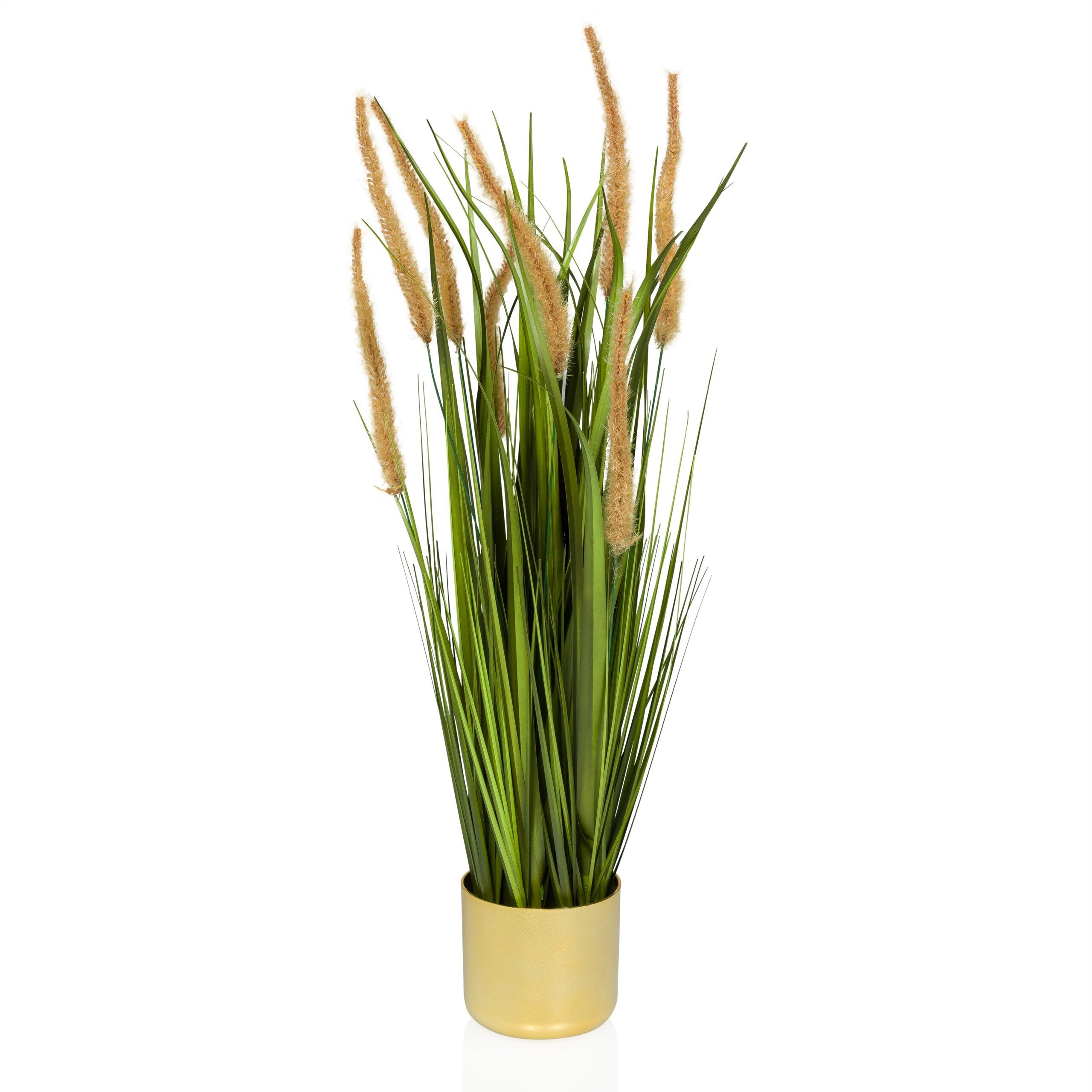 Kunstpflanze CORTADERIA I Künstliche Pflanze im Topf Höhe Cortaderia Selloana, hjh OFFICE, Höhe 78.0 cm, Pampasgras künstlich im goldenen Topf, Kunstgras Deko