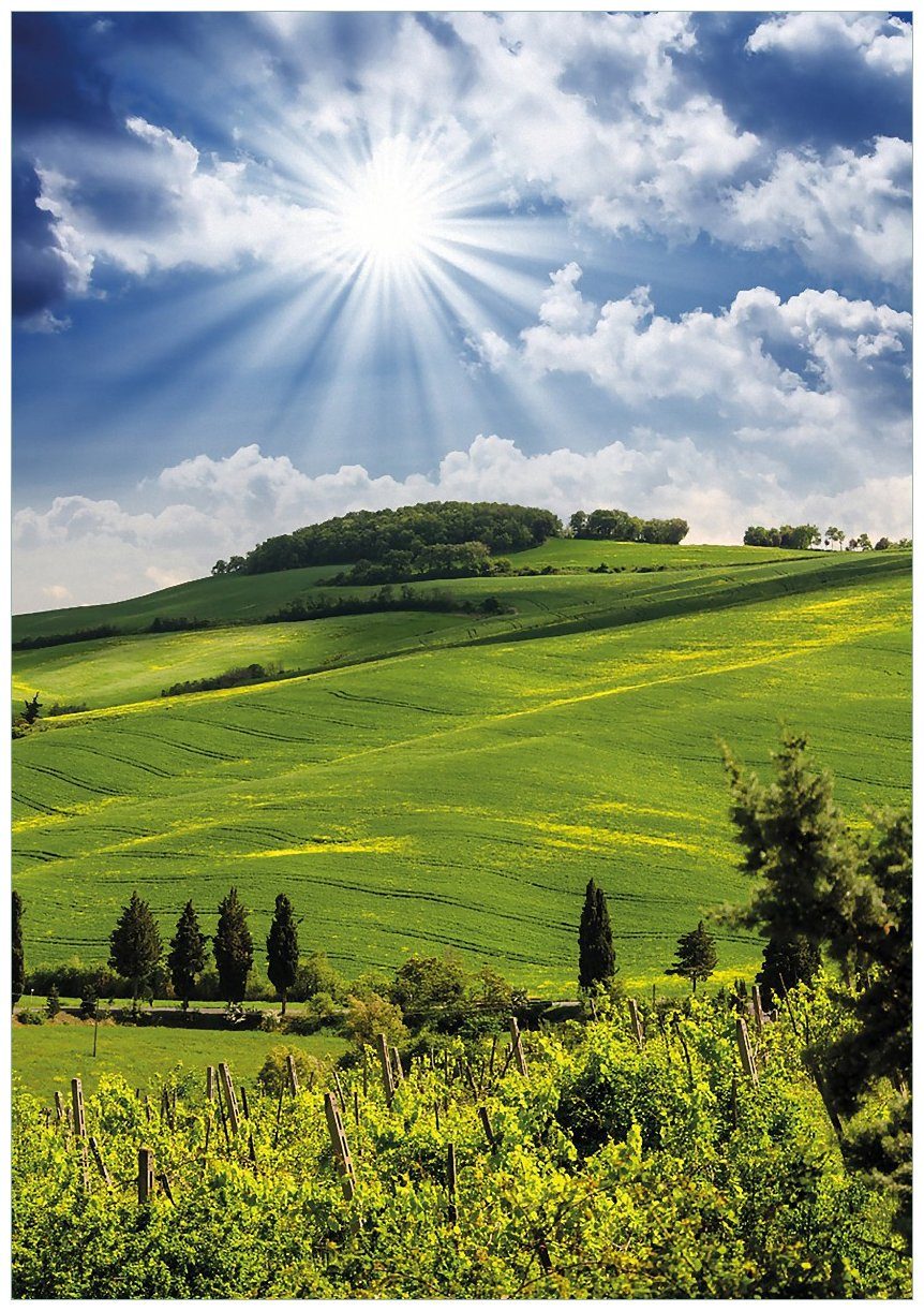 Wallario Poster, Strahlender Sonnenschein, in verschiedenen günstig online kaufen
