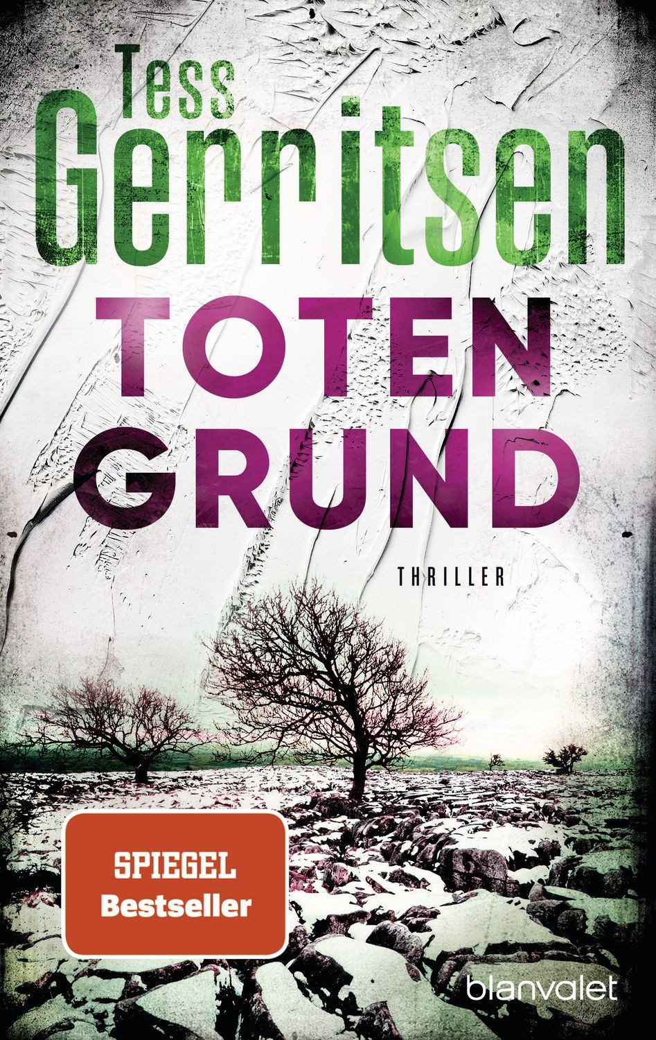 Belletristik Totengrund Thriller Tess Gerritsen
