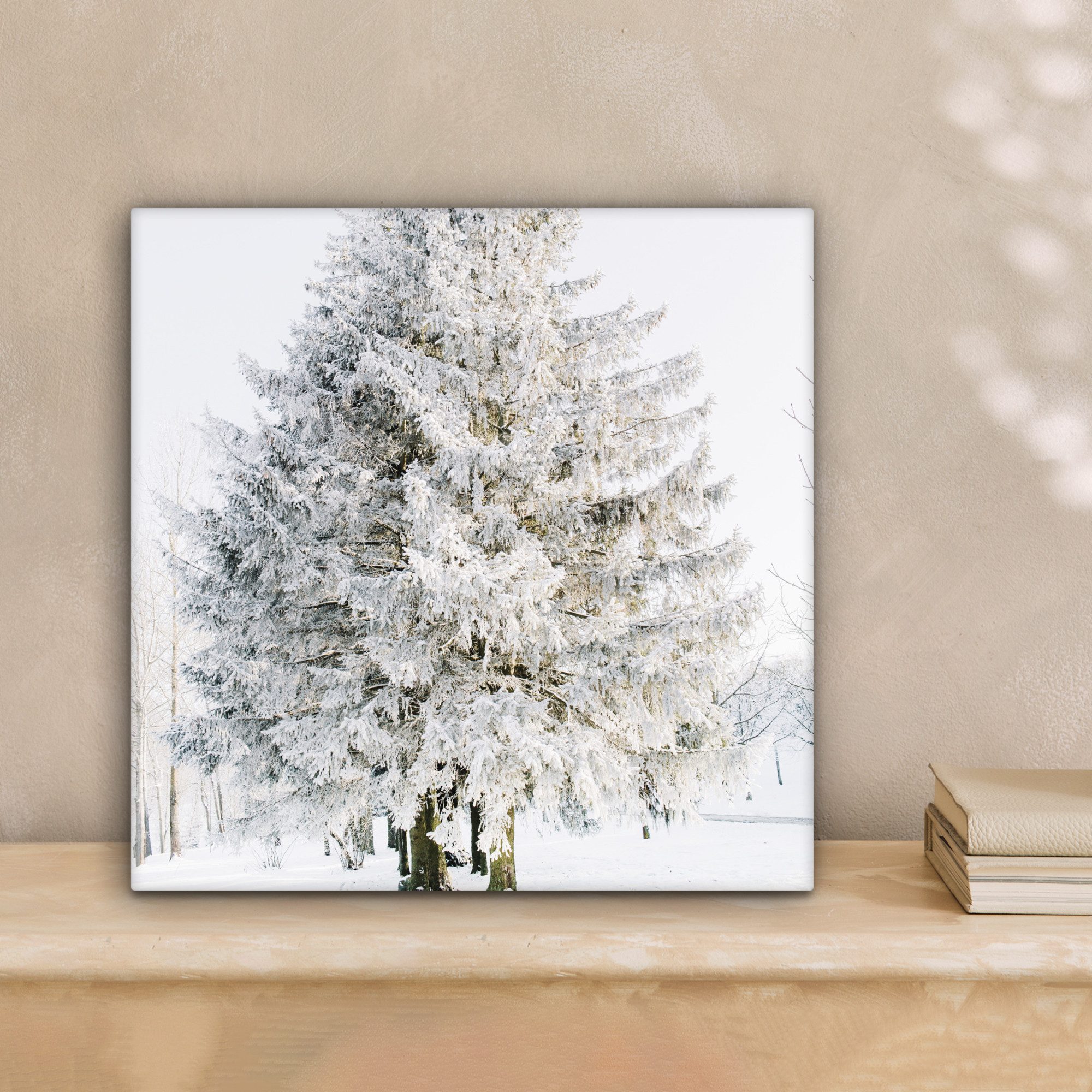 OneMillionCanvasses® Leinwandbild Winter - Baum - Schnee - Kiefer - Weiß, F günstig online kaufen