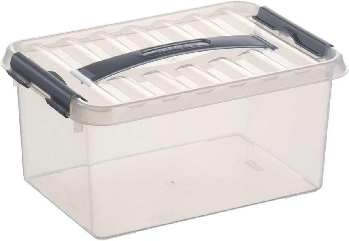 Sunware Aufbewahrungsbox Aufbewahrungsbox mit Deckel 6 günstig online kaufen