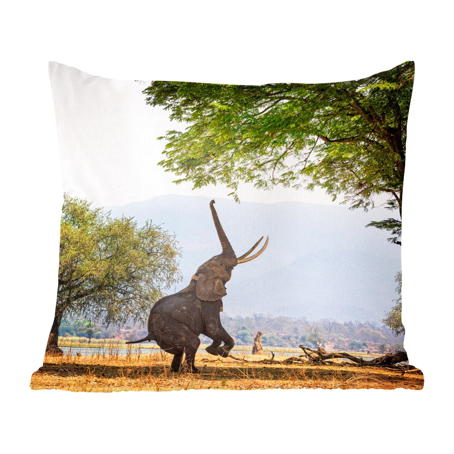 in Füllung MuchoWow Deko, Simbabwe erreichen, Zierkissen Elefanten mit Schlafzimmer, Wohzimmer, Dekokissen Sofakissen für
