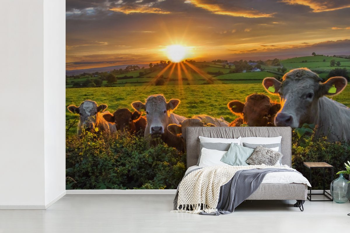 MuchoWow Fototapete Kühe für Vinyl Schlafzimmer, Matt, bedruckt, Wohnzimmer, (6 St), Kinderzimmer, in Wallpaper Tapete Irland