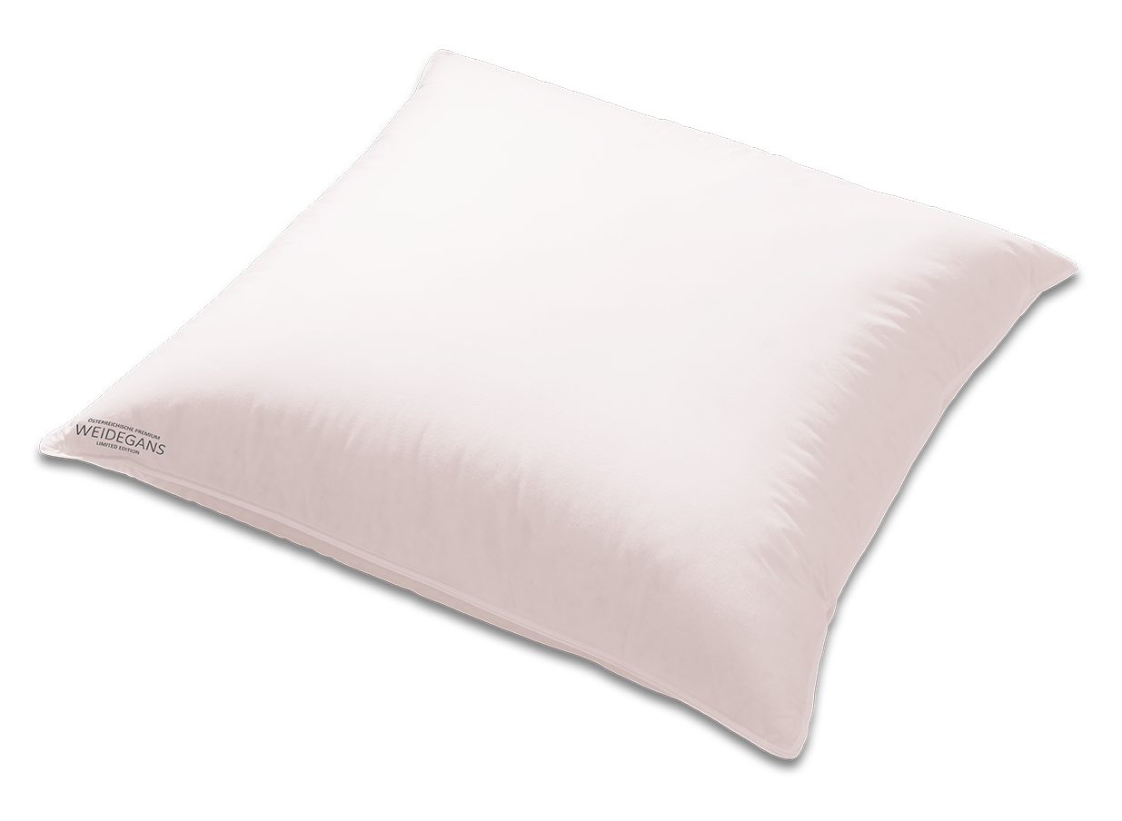 Kauffmann Gänsedaunenkopfkissen 3 Kammerkissen "Weidegans Limited Edition", günstig online kaufen