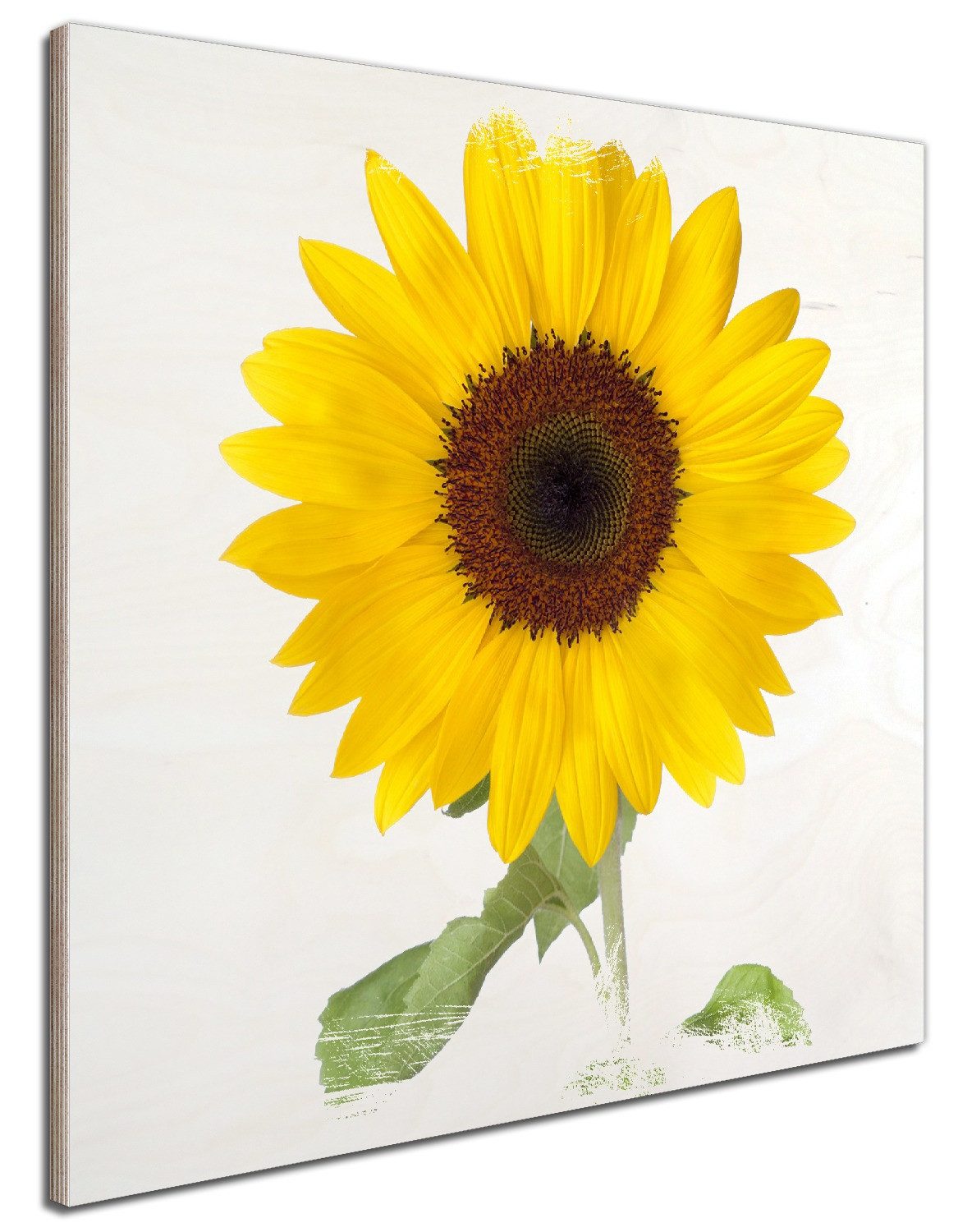 Wallario Holzbild, Sonnenblume, in verschiedenen Ausführungen