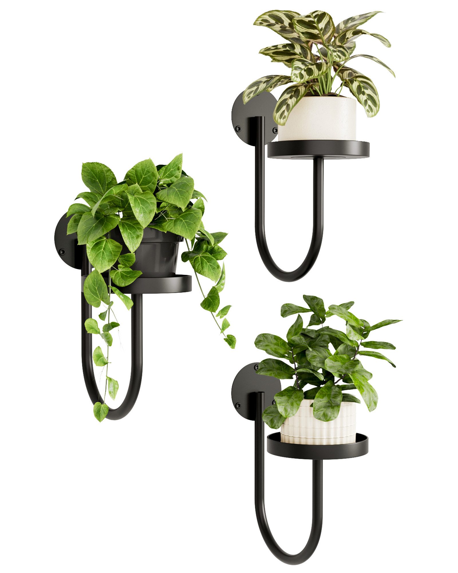 Bamworld Blumenampel Hängegefäße für Zimmerpflanzen, Wandhalter, Schwarz, 3 Stück (3 St), Pflanztöpfe, Fensterregale & Pflanzenhalter als Wanddeko