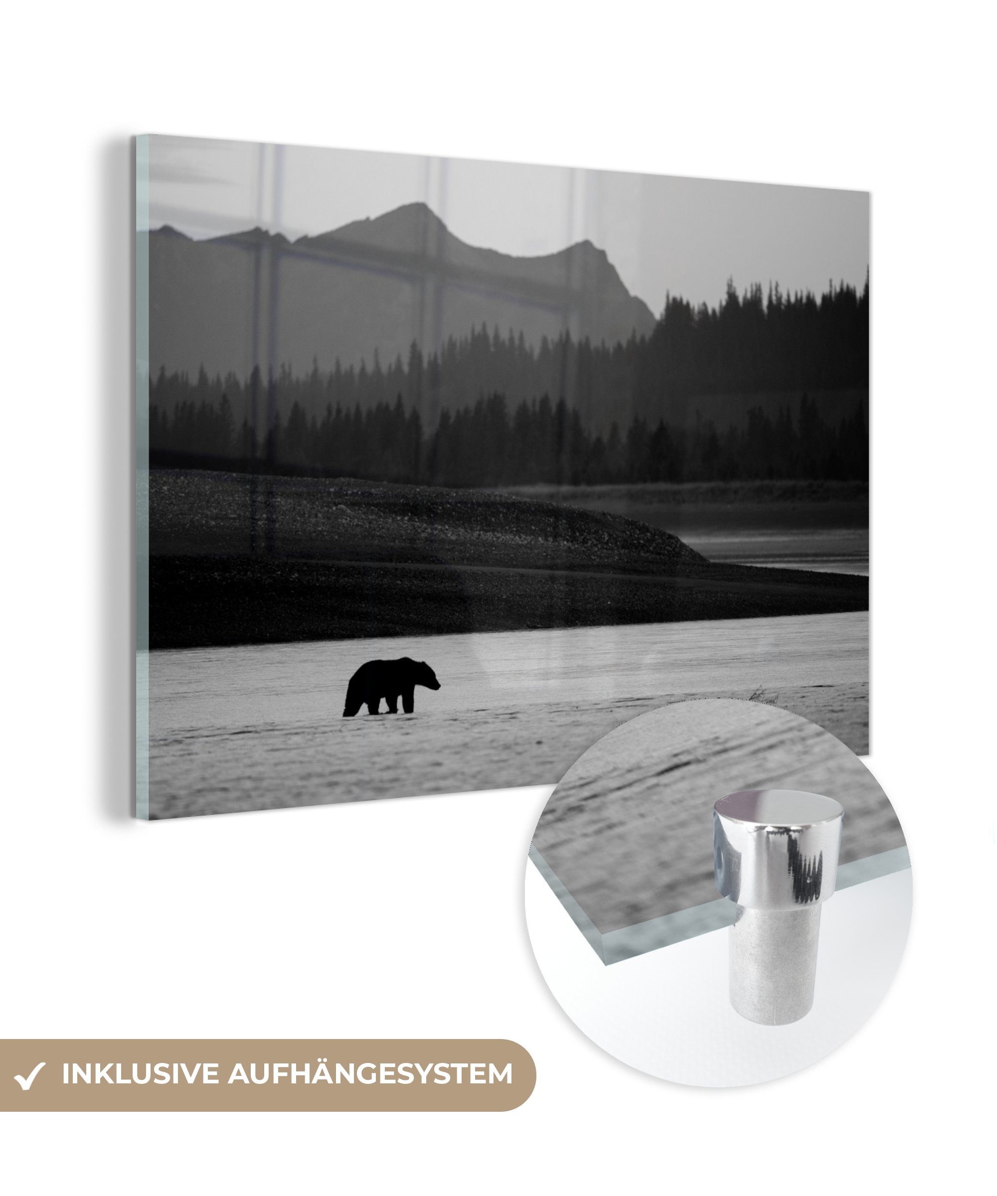 MuchoWow Acrylglasbild Braunbär - schwarz und weiß, (1 St), Acrylglasbilder Wohnzimmer & Schlafzimmer