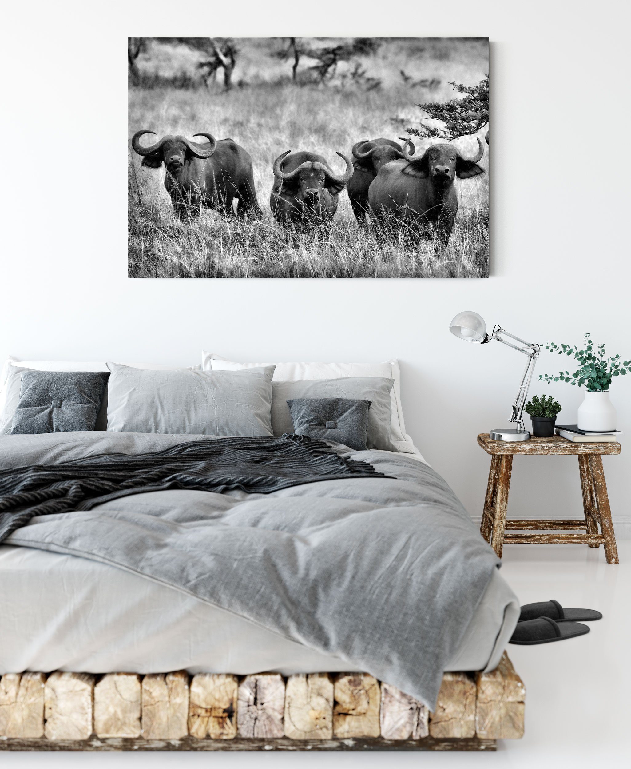 Pixxprint Leinwandbild wachsame Kaffernbüffel bespannt, Herde Zackenaufhänger wachsame inkl. Kaffernbüffel St), fertig Leinwandbild (1 Herde