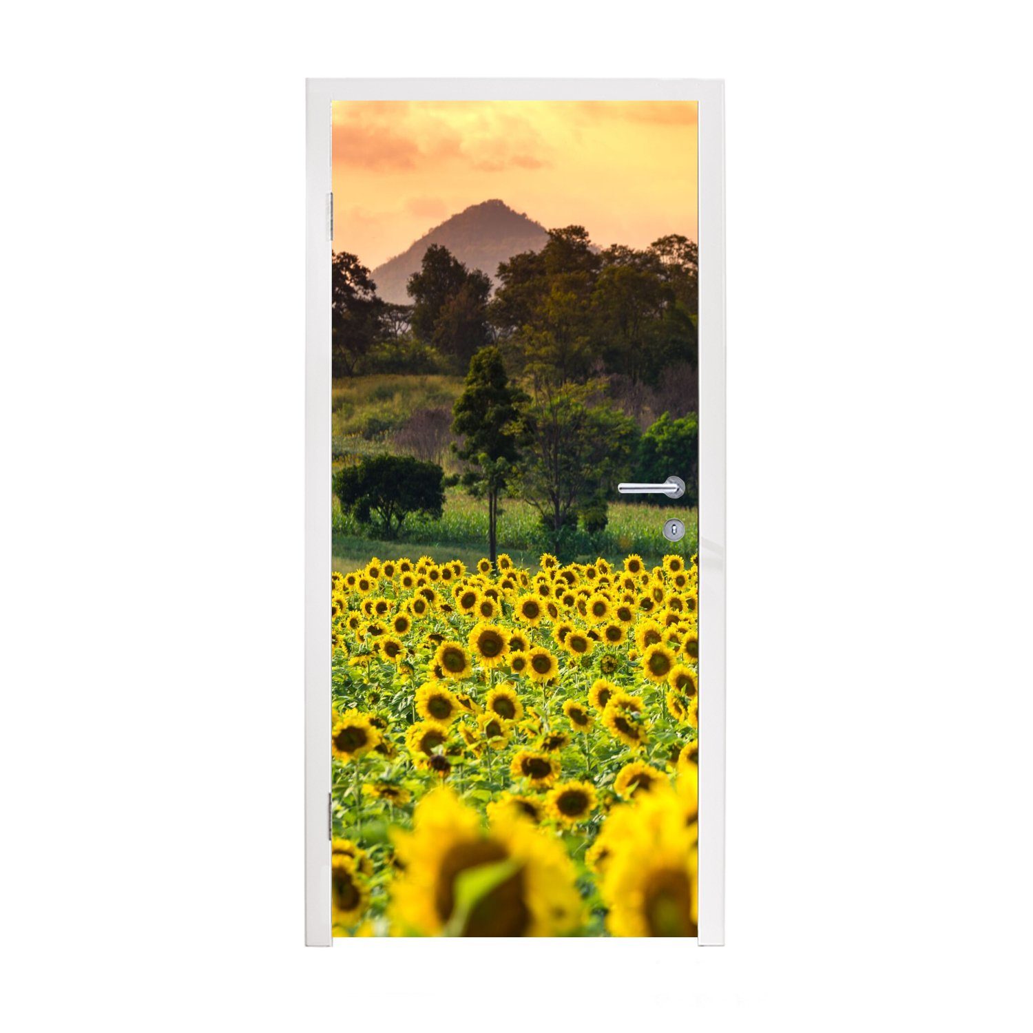 - - Matt, Türtapete St), MuchoWow Natur Sonnenblume für cm (1 75x205 Türaufkleber, Berg, bedruckt, Fototapete Tür,