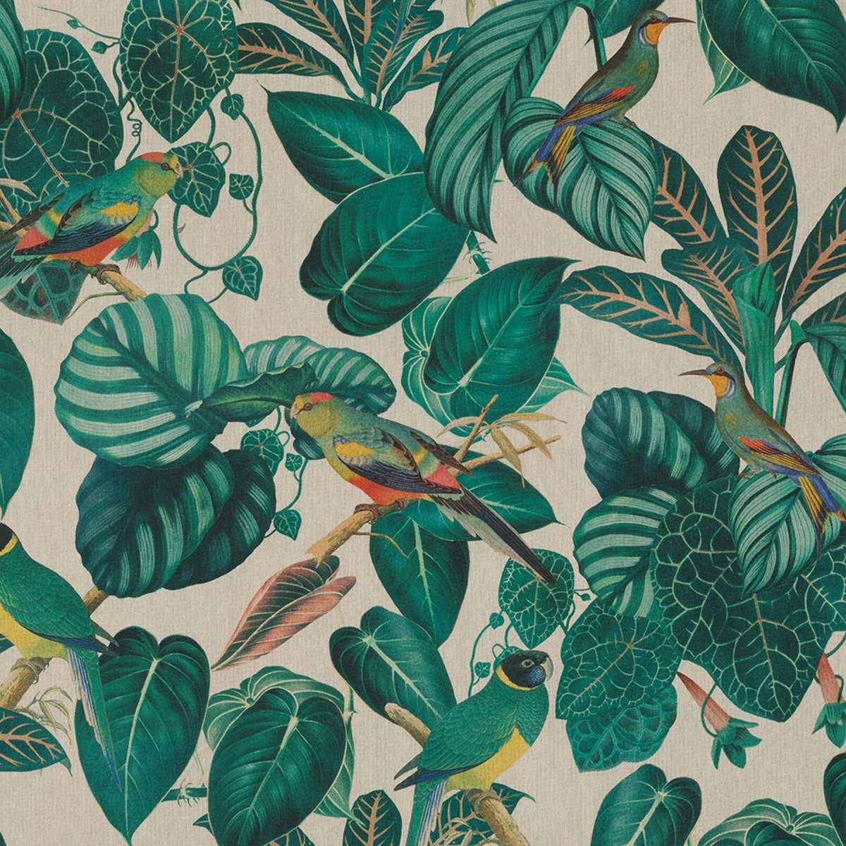 Stoff Dekostoff Meterware Calathea Leaves Blätter Papageien natur grün 1,40m