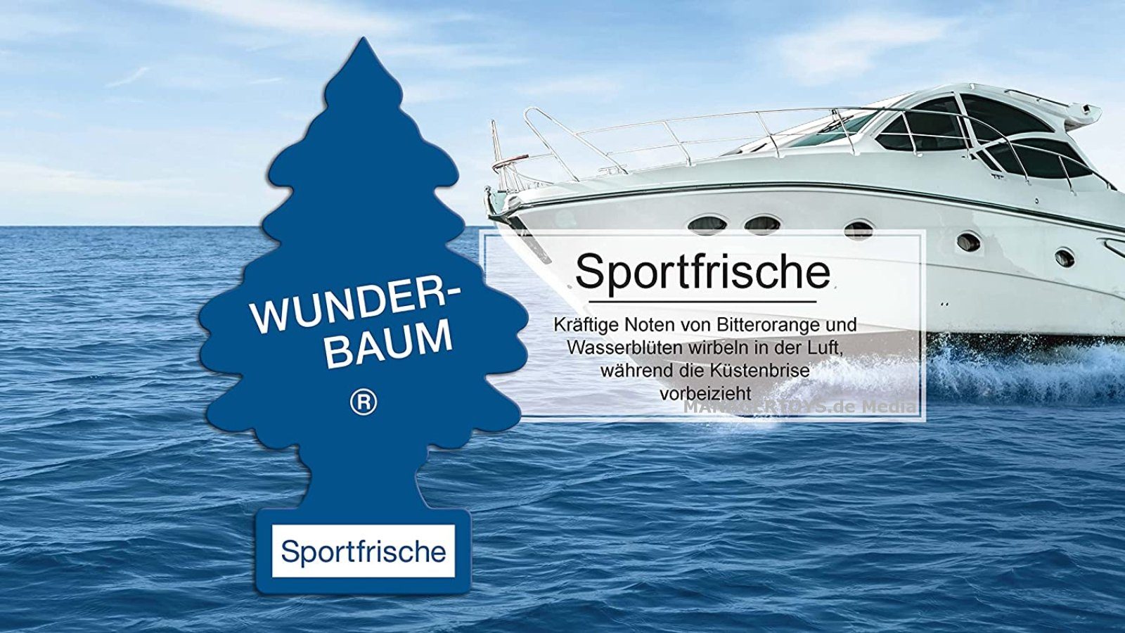 Wunder-Baum Hänge-Weihnachtsbaum Sportfrische 3er Duftbäumchen Wunderbaum 3 Set Lufterfrischer – Bild 3 von 5